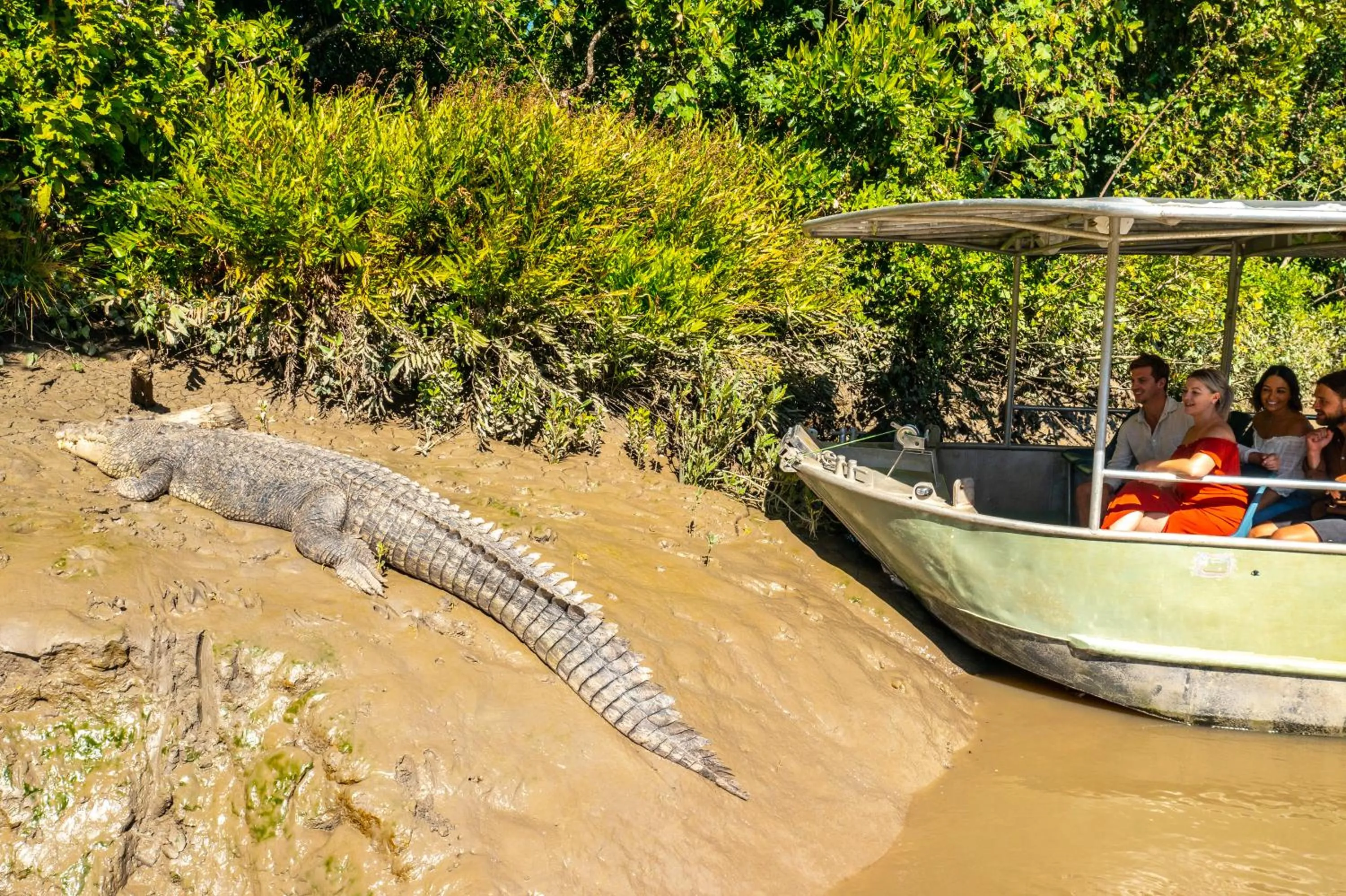 Natural landscape in Shingley Beach Resort - Whitsundays