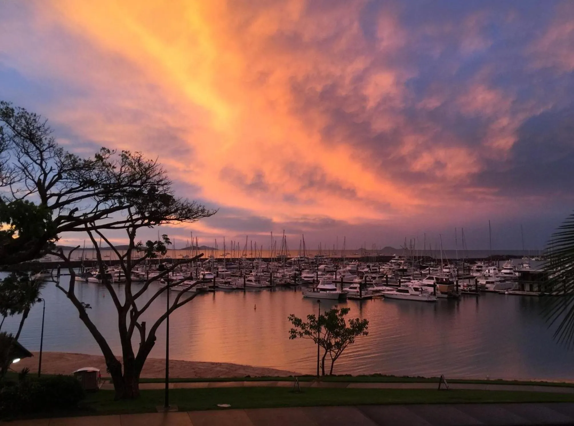Sea view in Shingley Beach Resort - Whitsundays