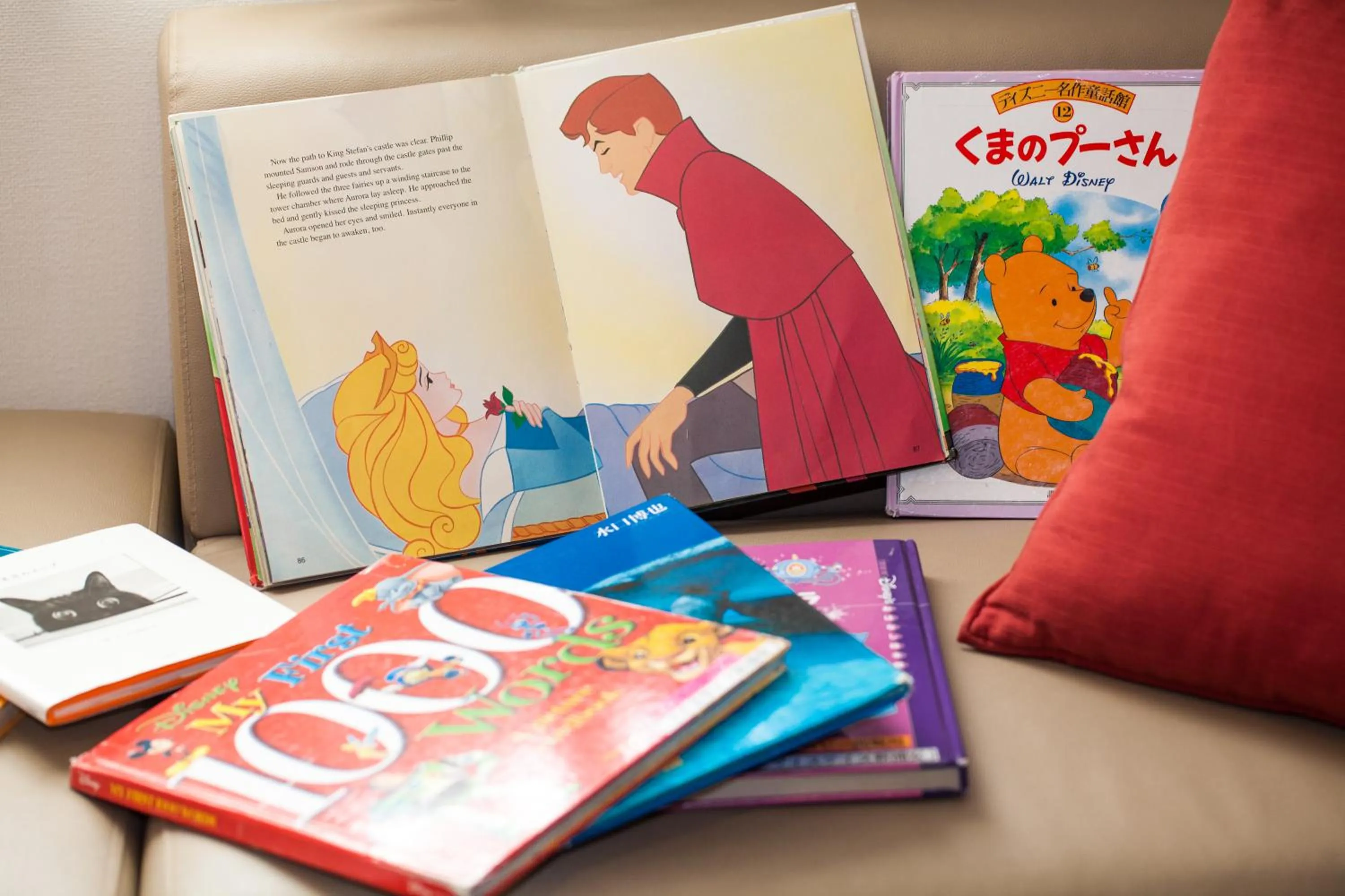 Other in MYSTAYS Shin Urayasu Conference Center