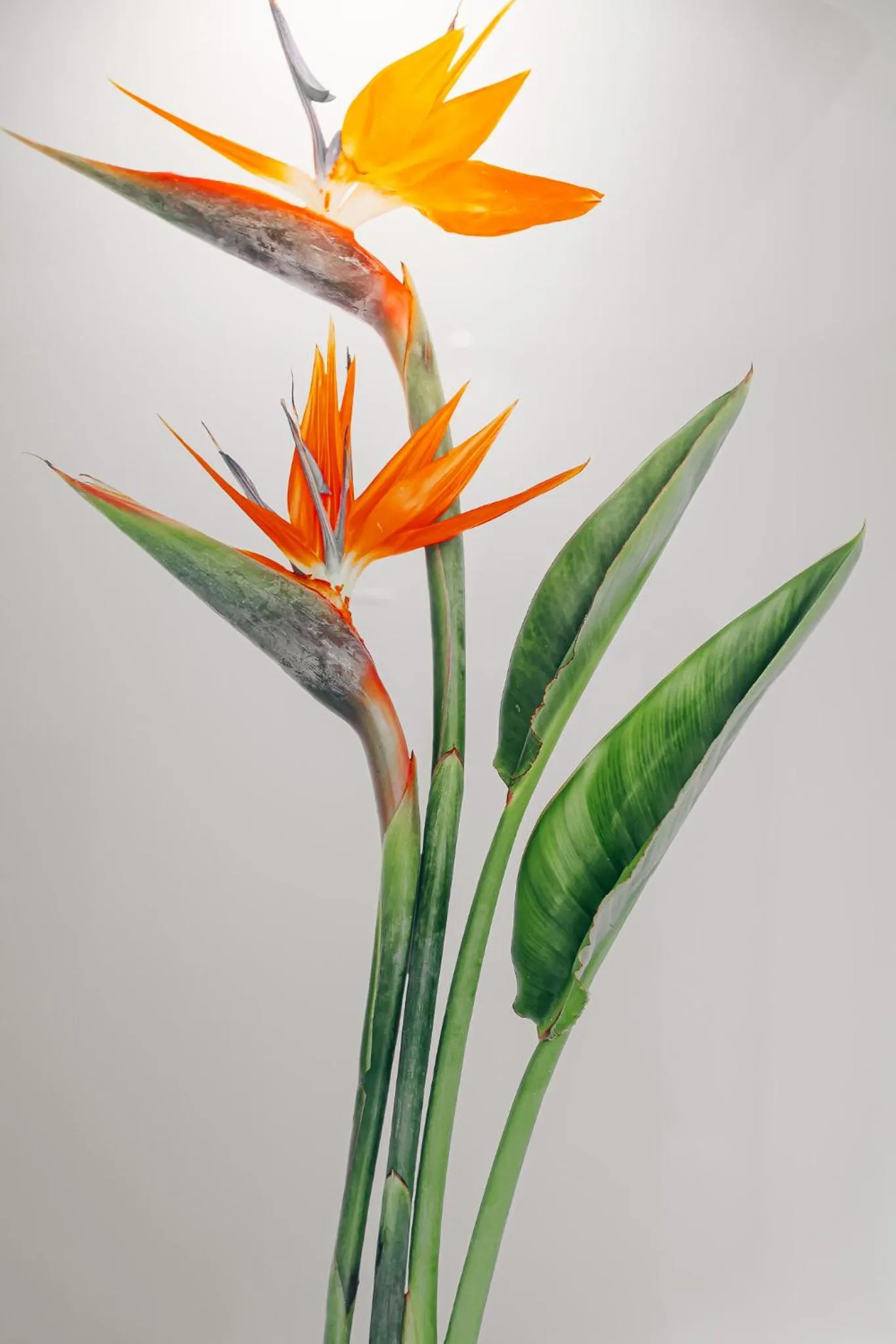 Decorative detail in The Bihai Hua Hin