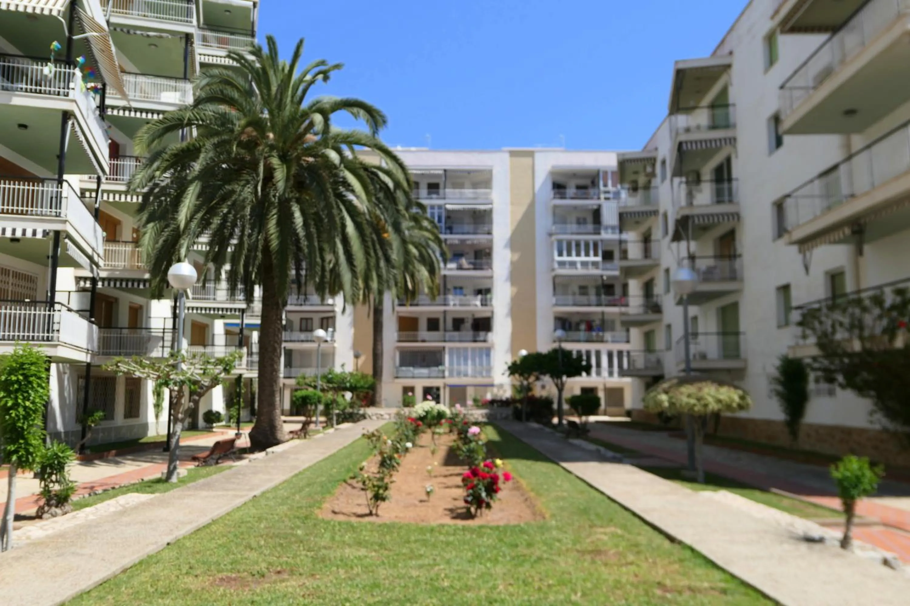 Facade/entrance in Rentalmar Aries Plus