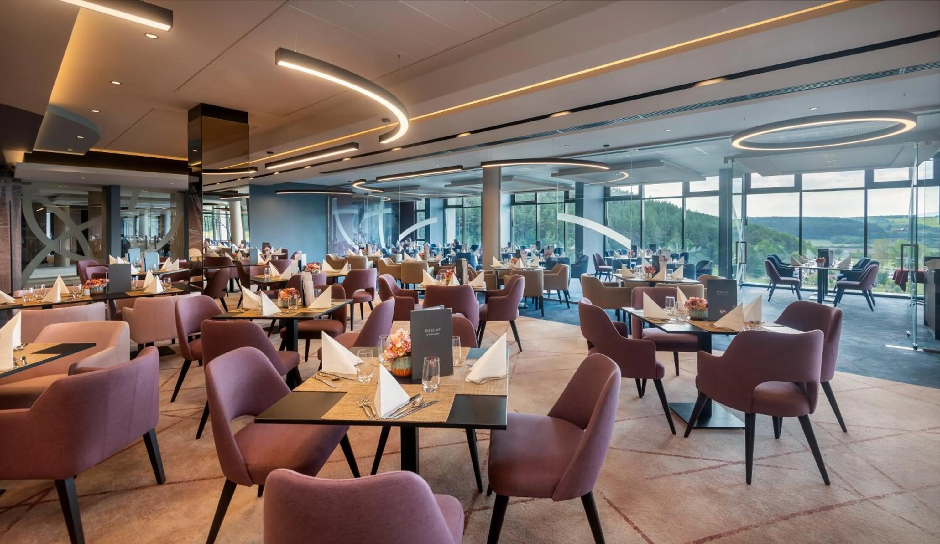 Restaurant/places to eat in Hunguest Saliris