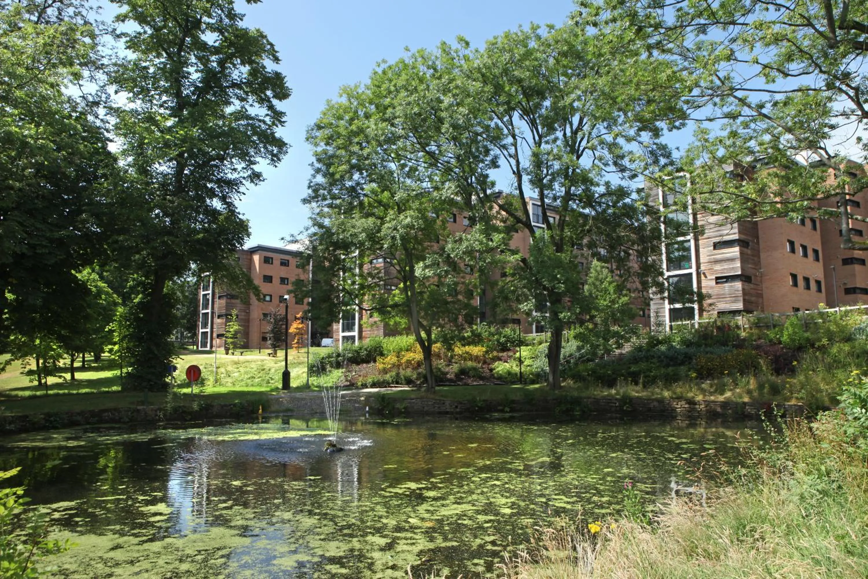 Neighbourhood in Jonas Hotel