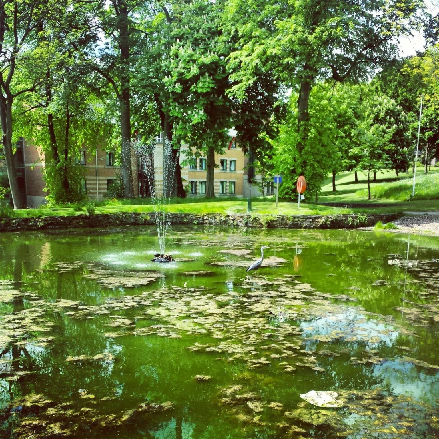 Neighbourhood in Jonas Hotel