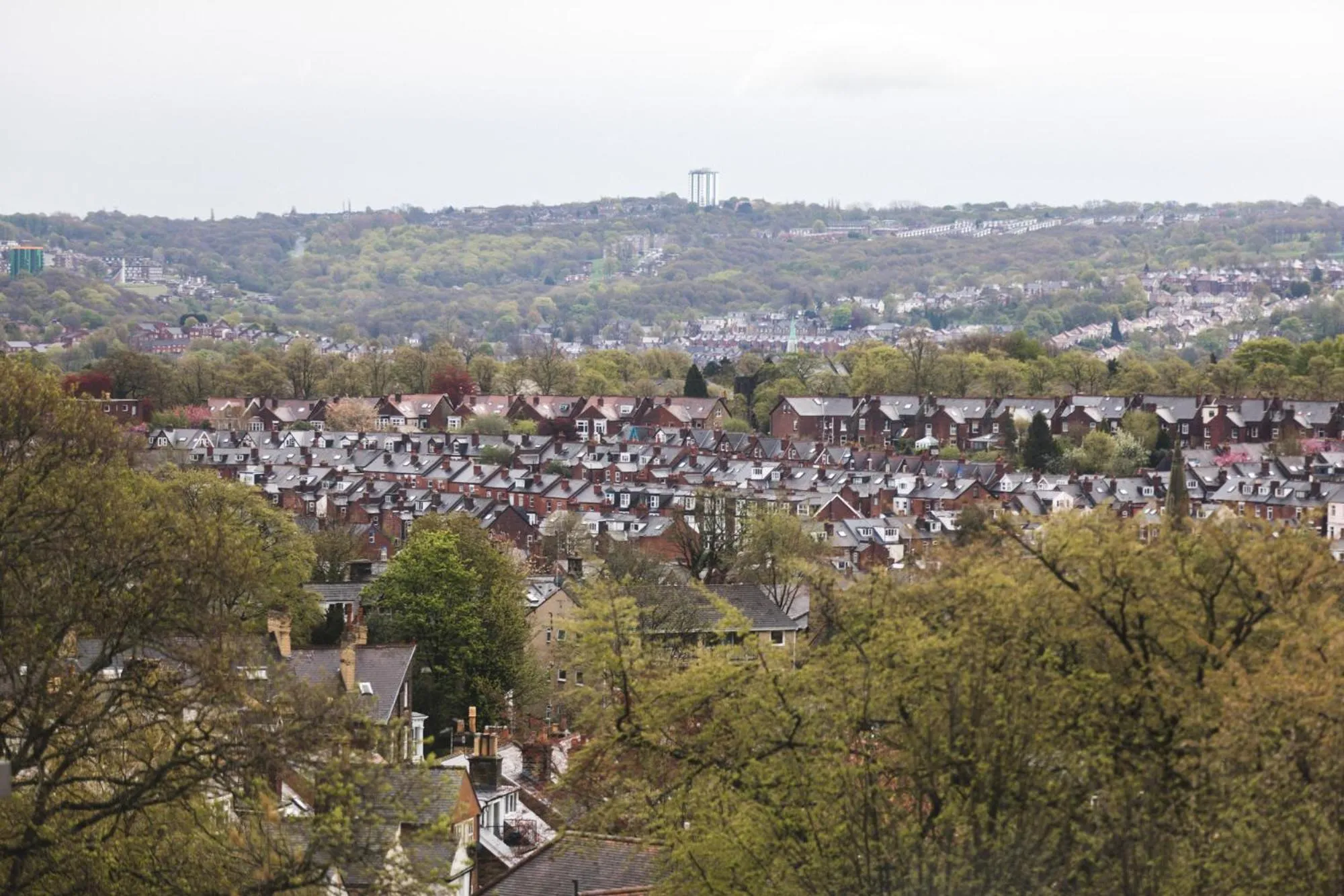 Neighbourhood in Jonas Hotel