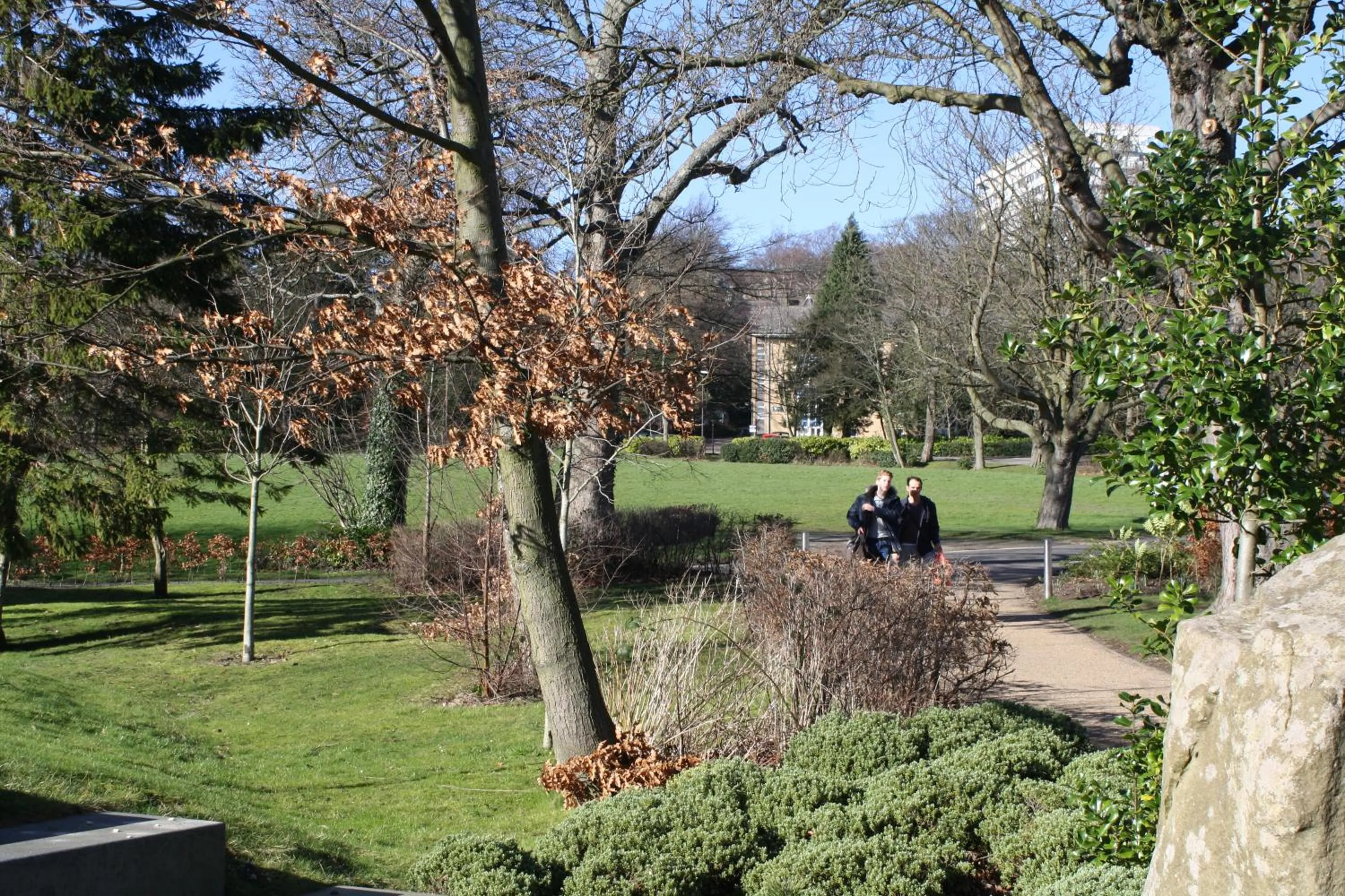 Neighbourhood in Jonas Hotel