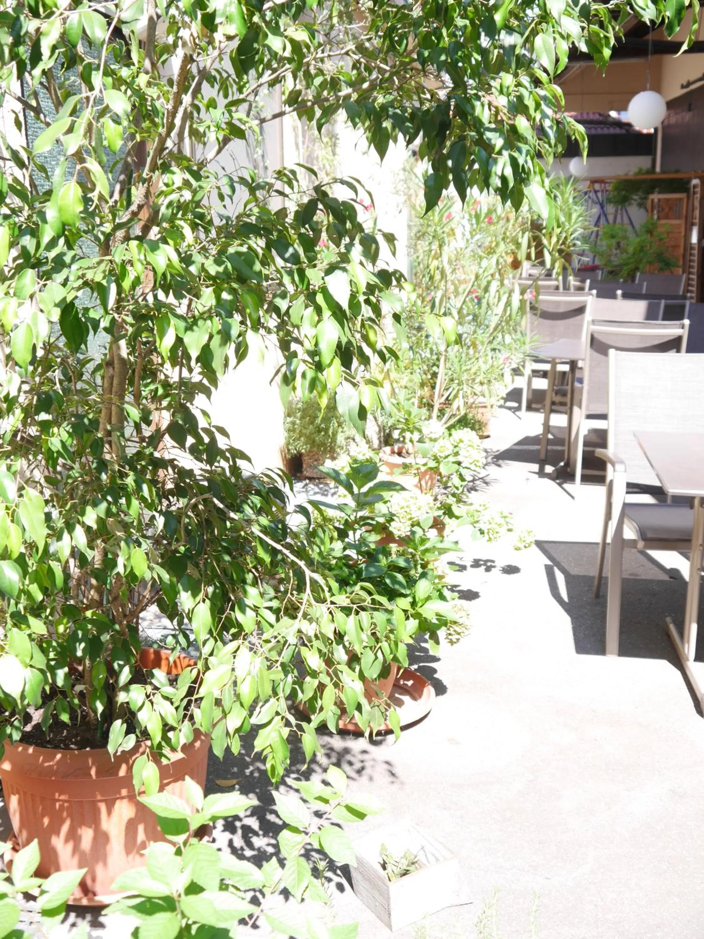 Patio in Hotel Landgasthof Blume