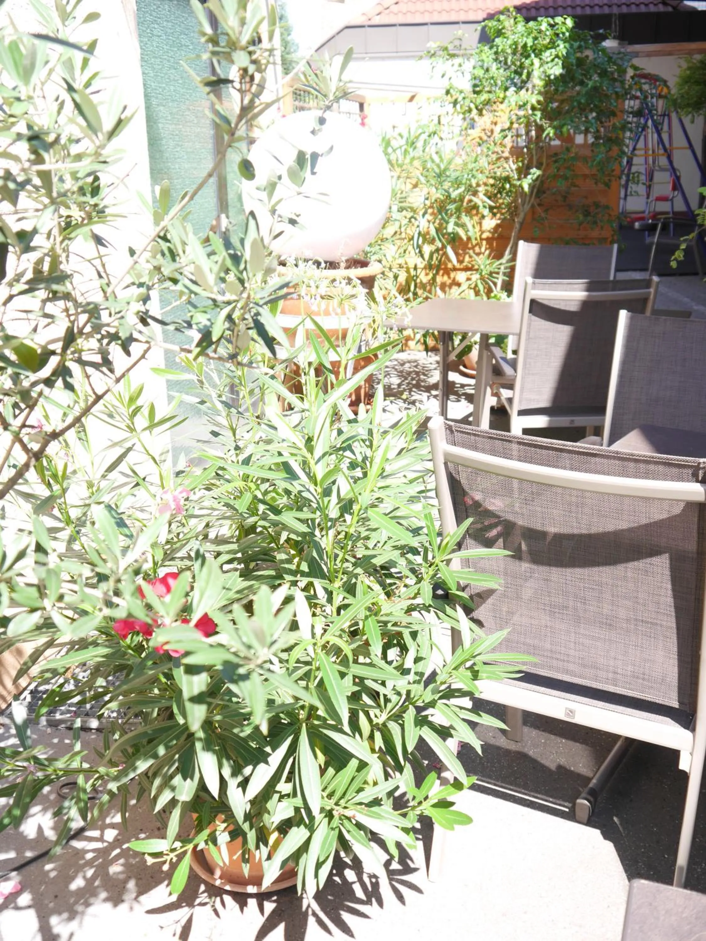 Patio in Hotel Landgasthof Blume