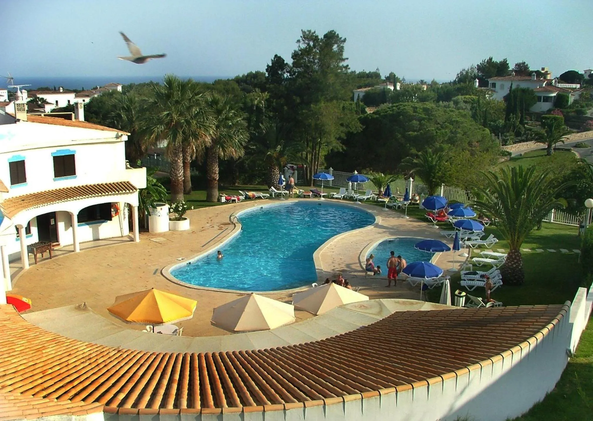 Swimming pool in Turiquintas