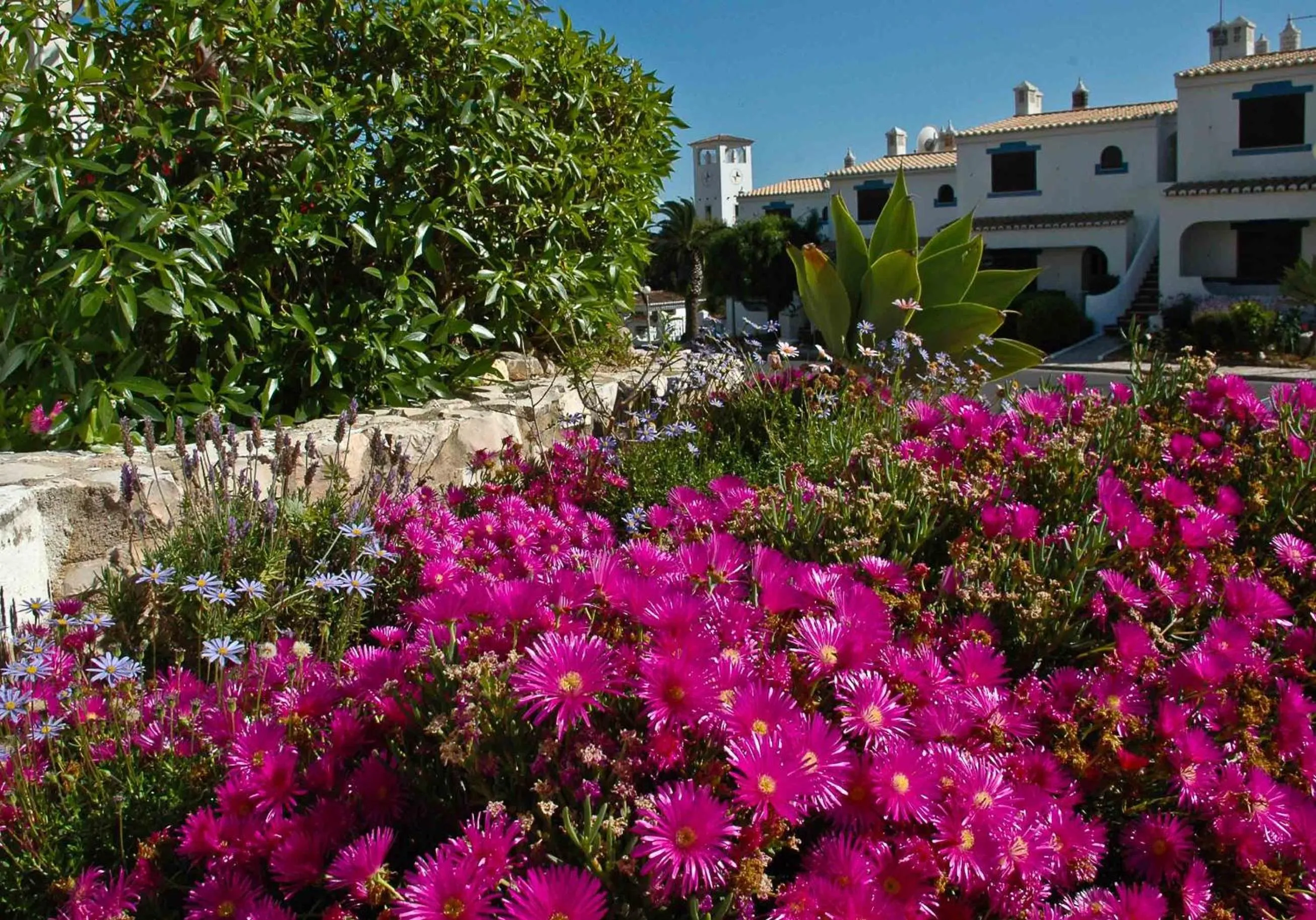 Garden in Turiquintas