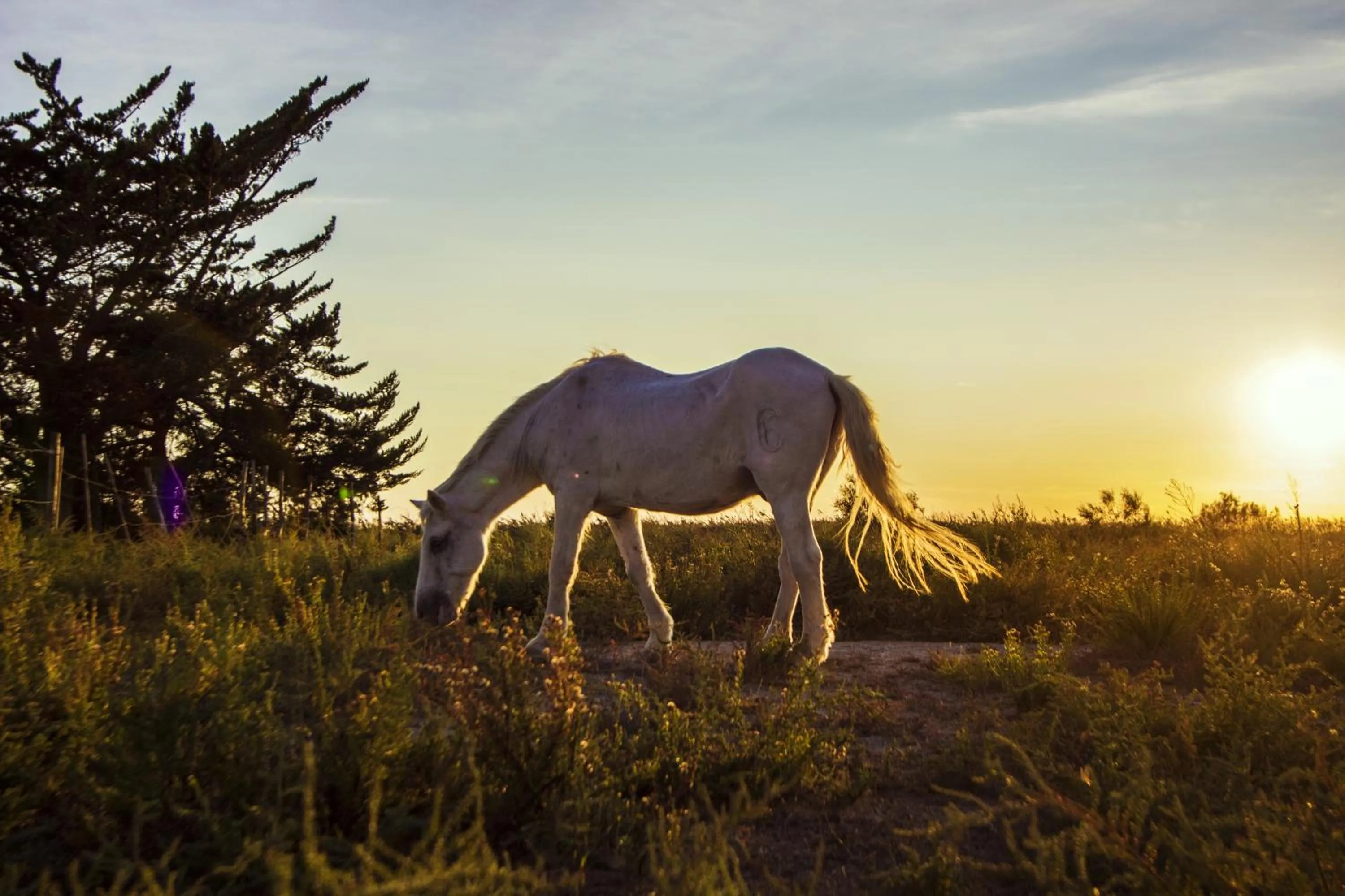 Day in Hôtel La Palunette