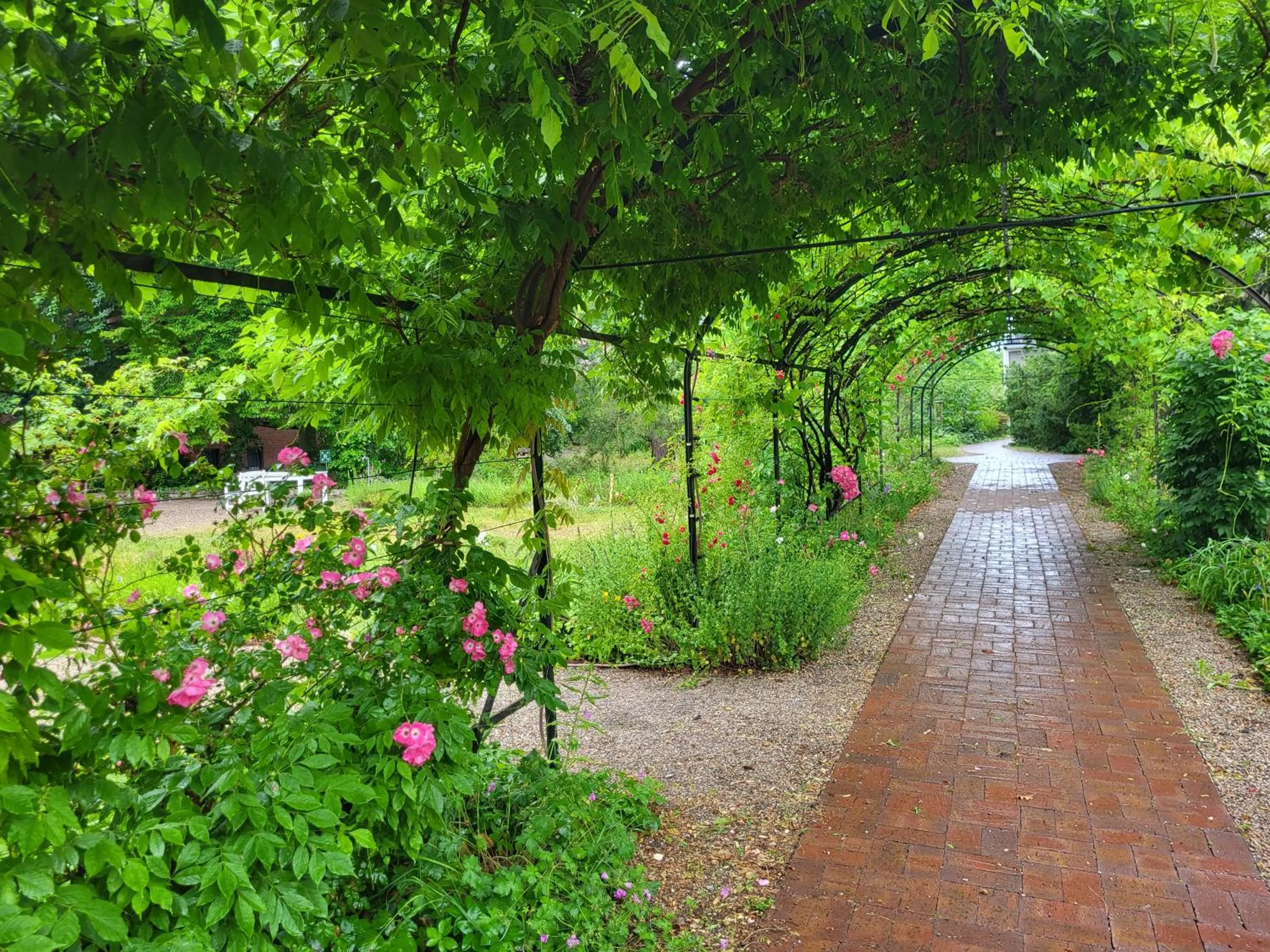 Garden in Gäste- und Tagungshaus am Glockengarten