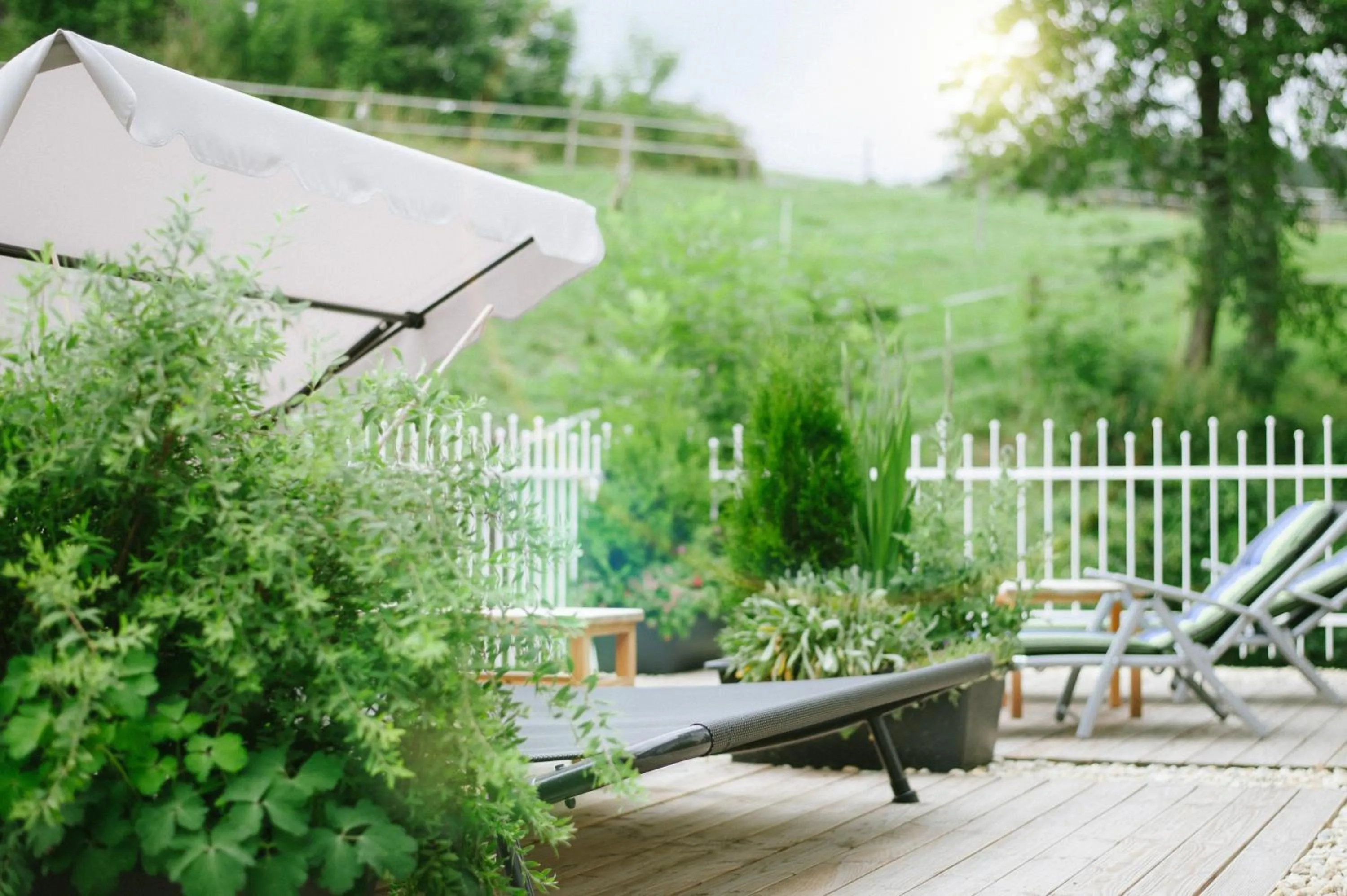 Garden in Das Reiners