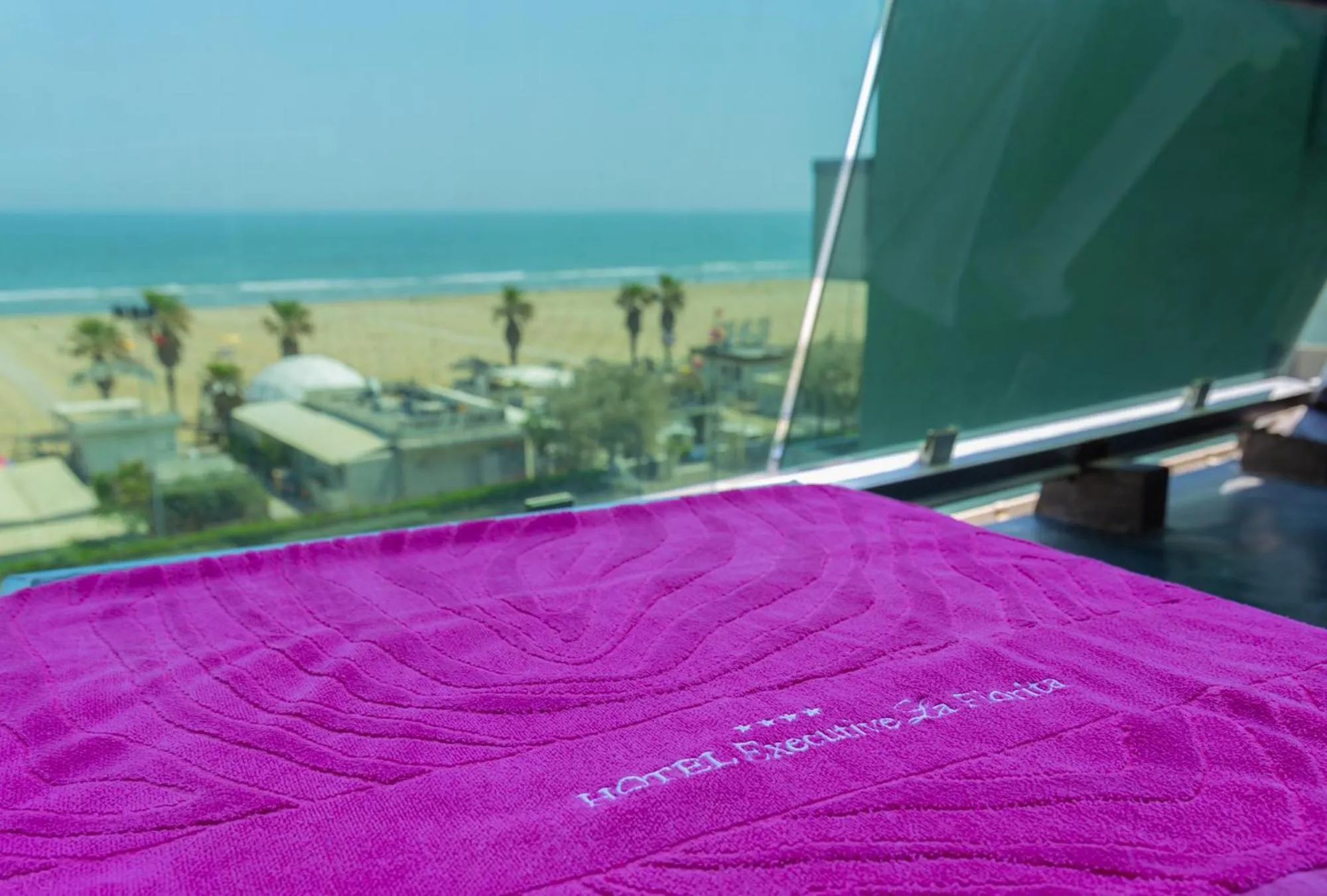 Balcony/Terrace in Hotel Executive La Fiorita