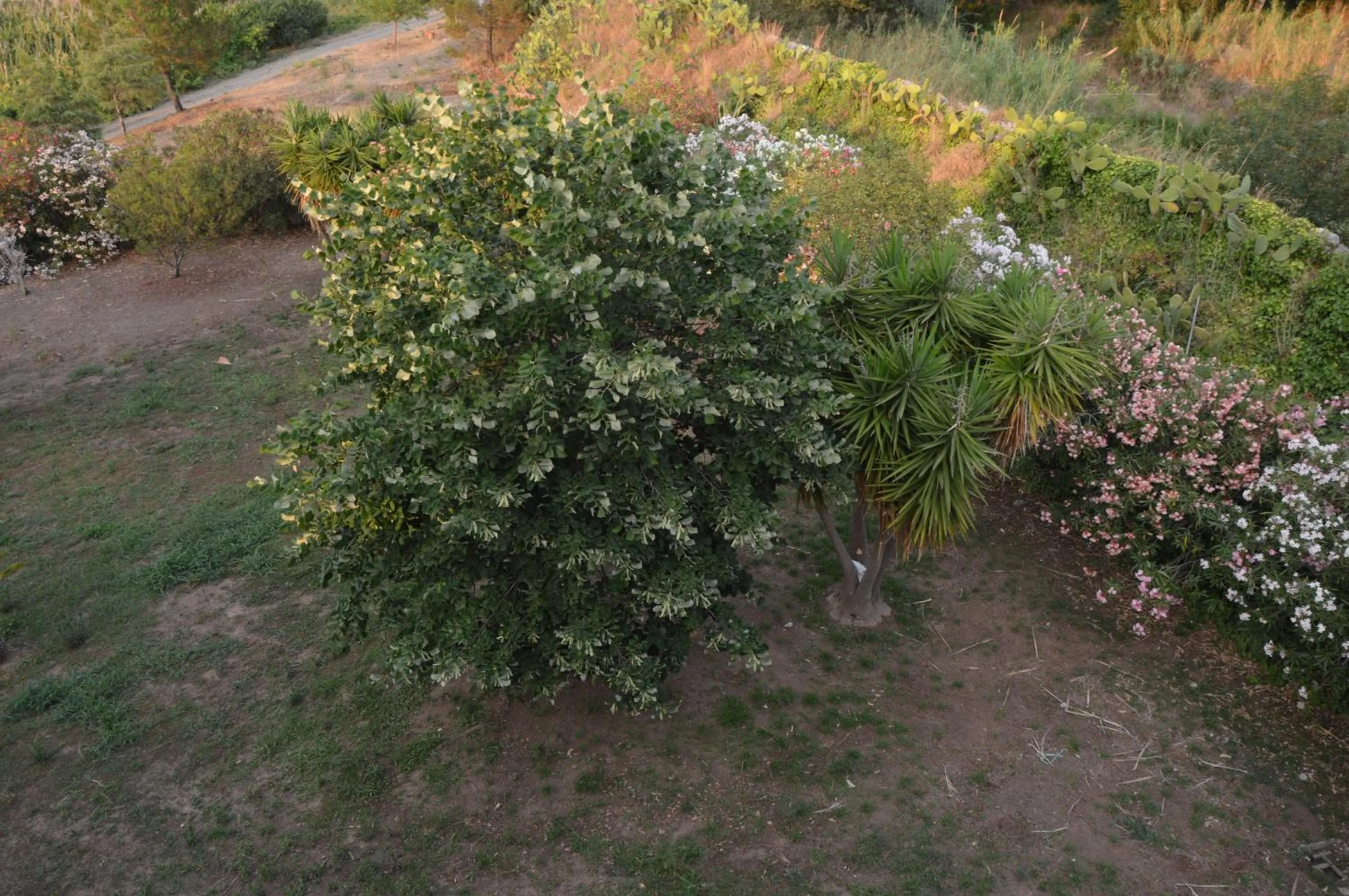 Property building in Residence Verde Blu