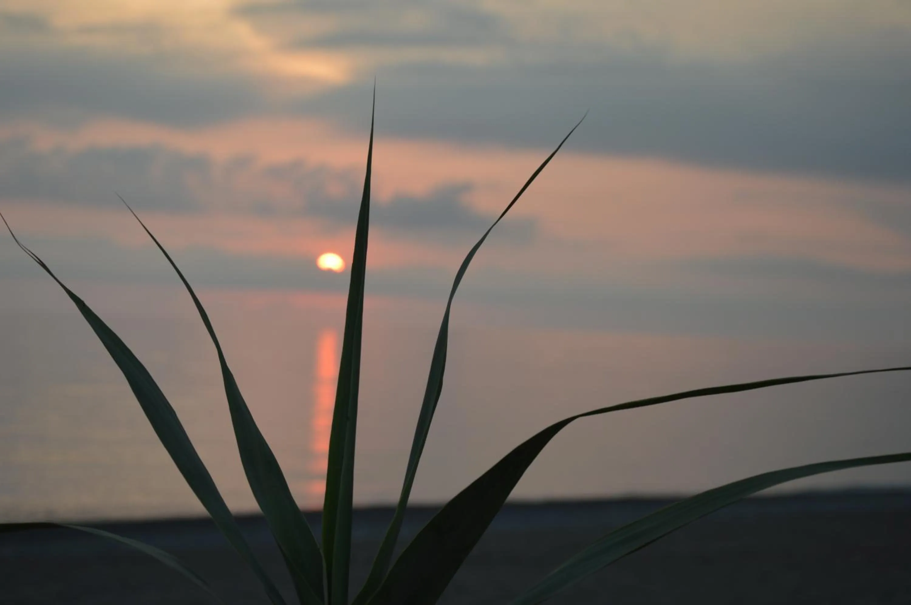 Property building in Residence Verde Blu