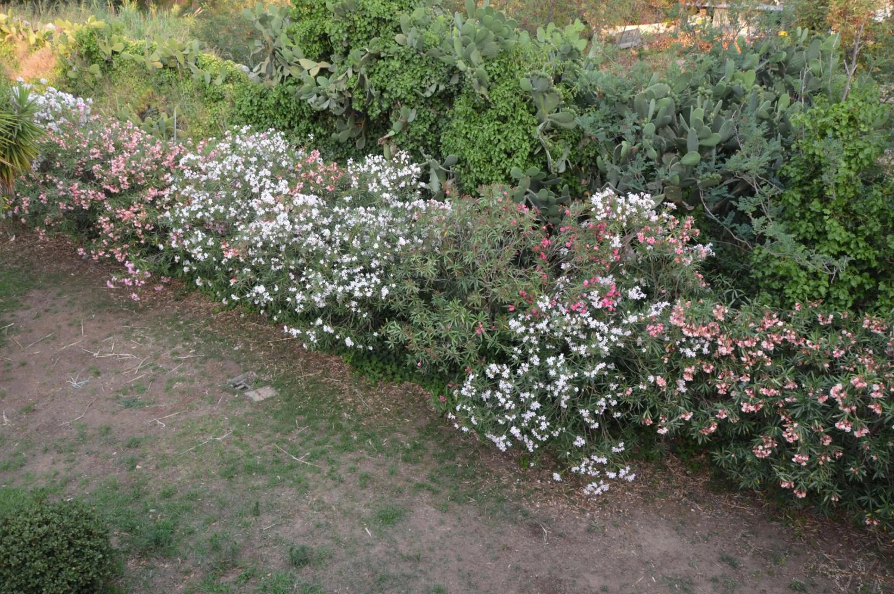 Property building in Residence Verde Blu