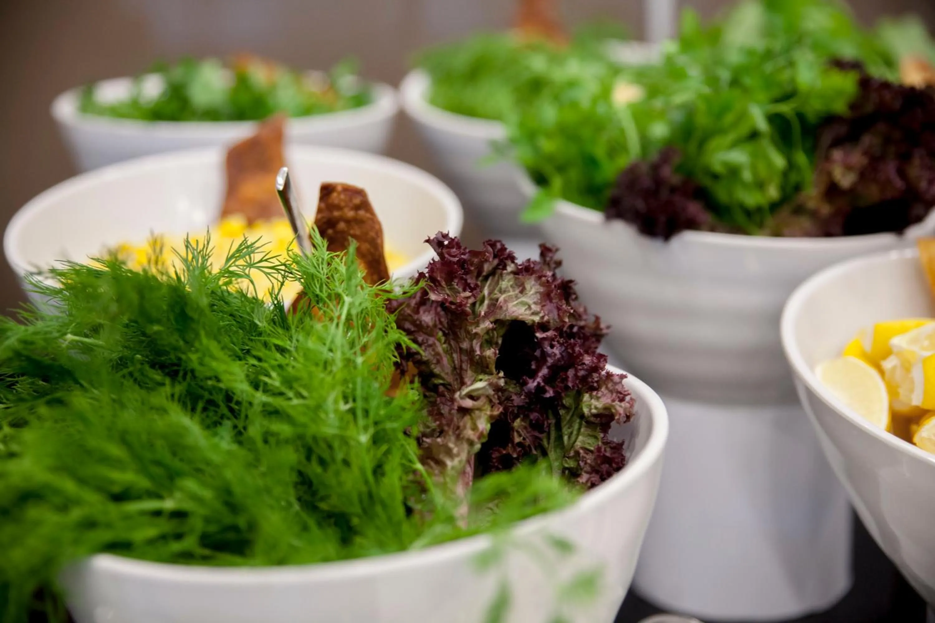 Food and drinks in Hm Commerce Hotel