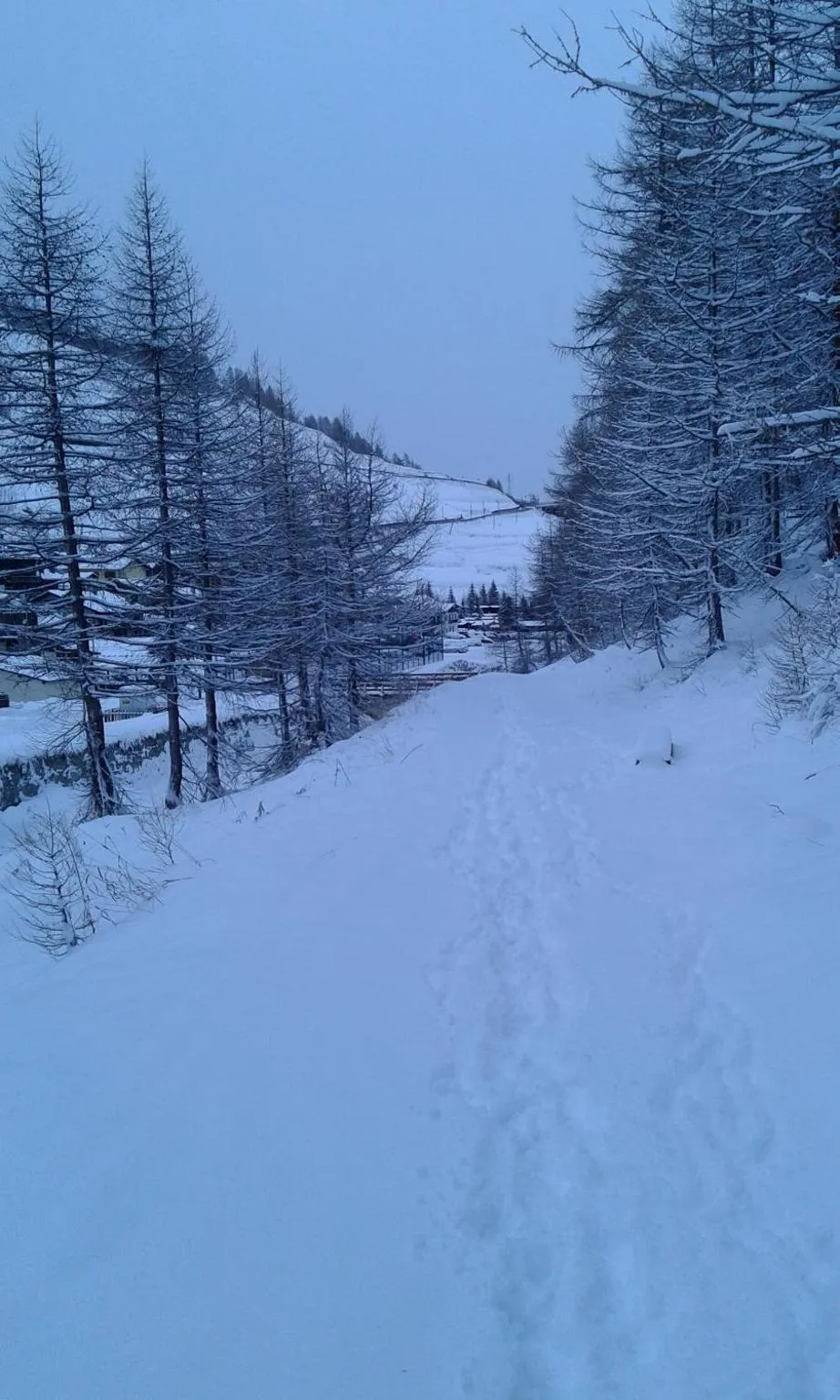 Hiking in Hotel Banchetta