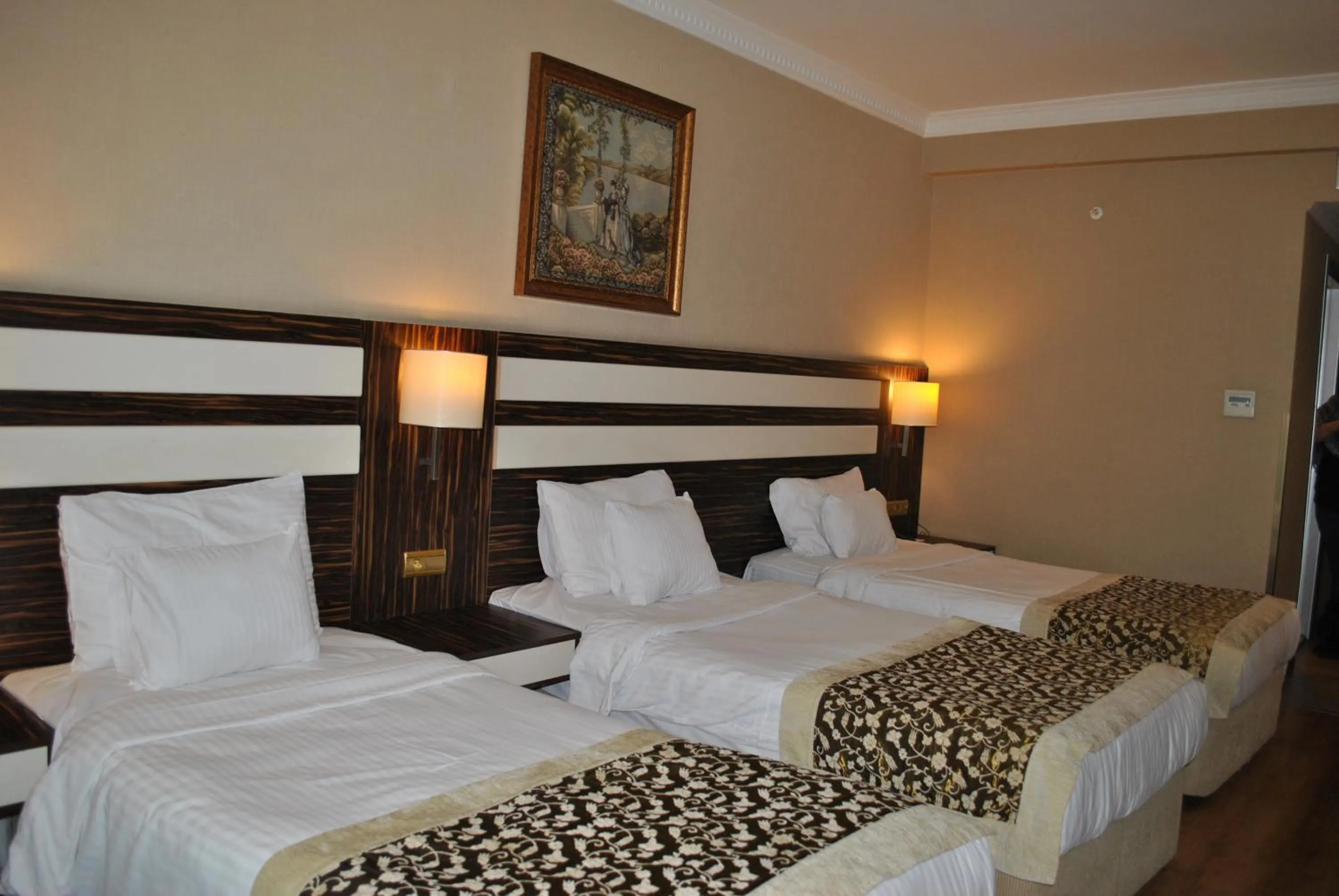 Natural landscape, Bed in Akgun Hotel Beyazit