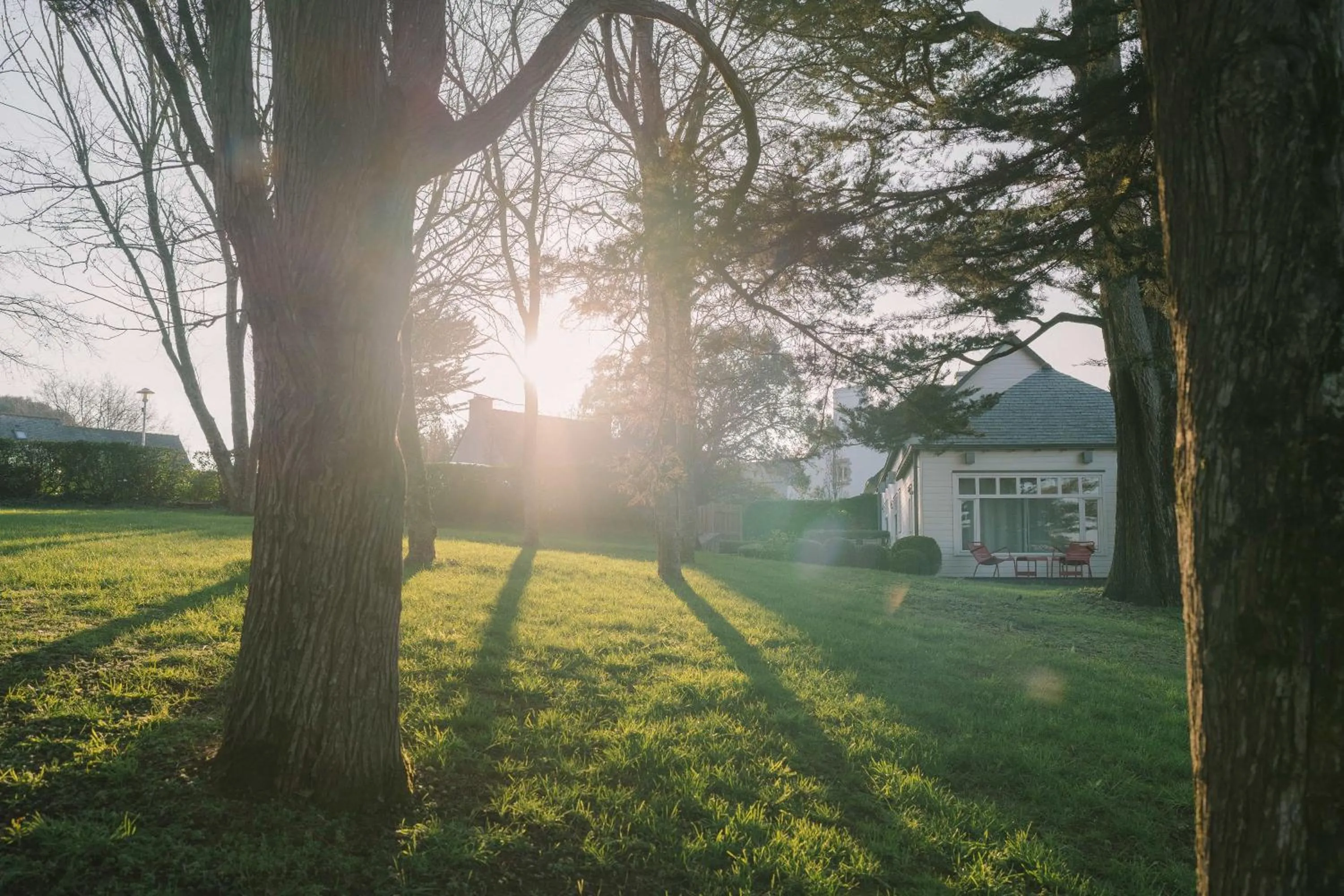 Garden in Villa Tri Men