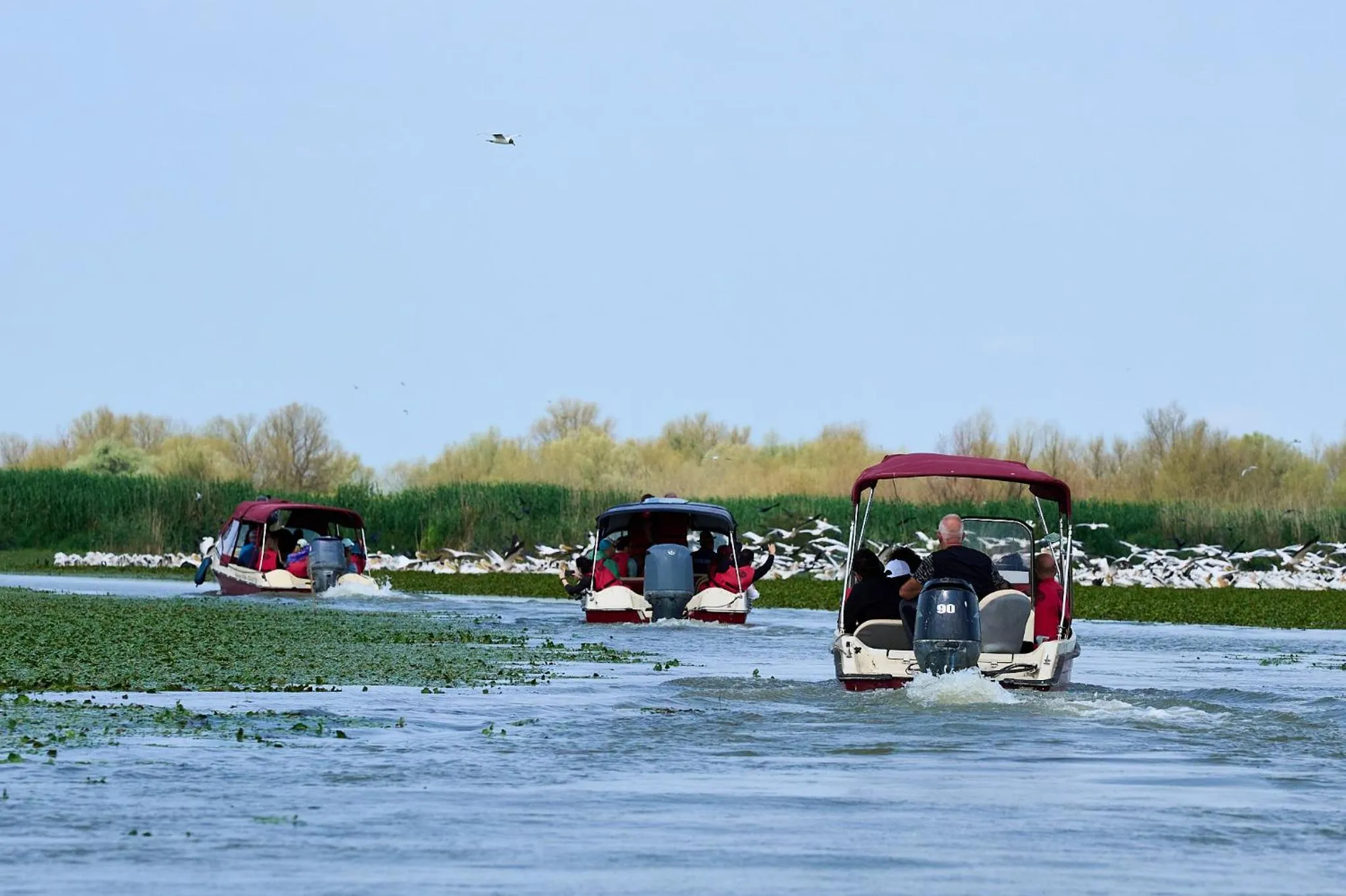 Day in Pensiunea Ovidiu