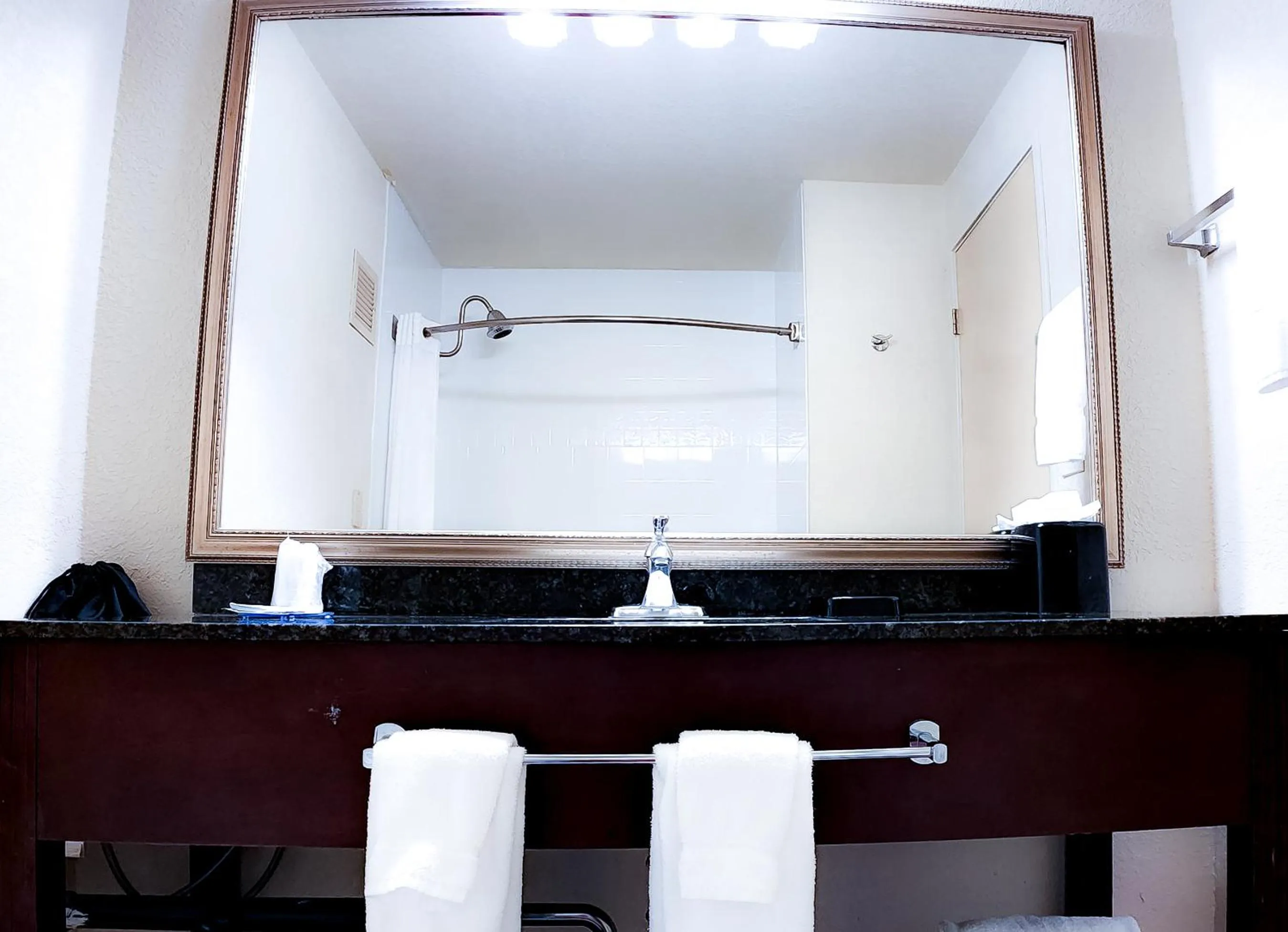 Bathroom in Seville Plaza Hotel, Trademark Collection by Wyndham
