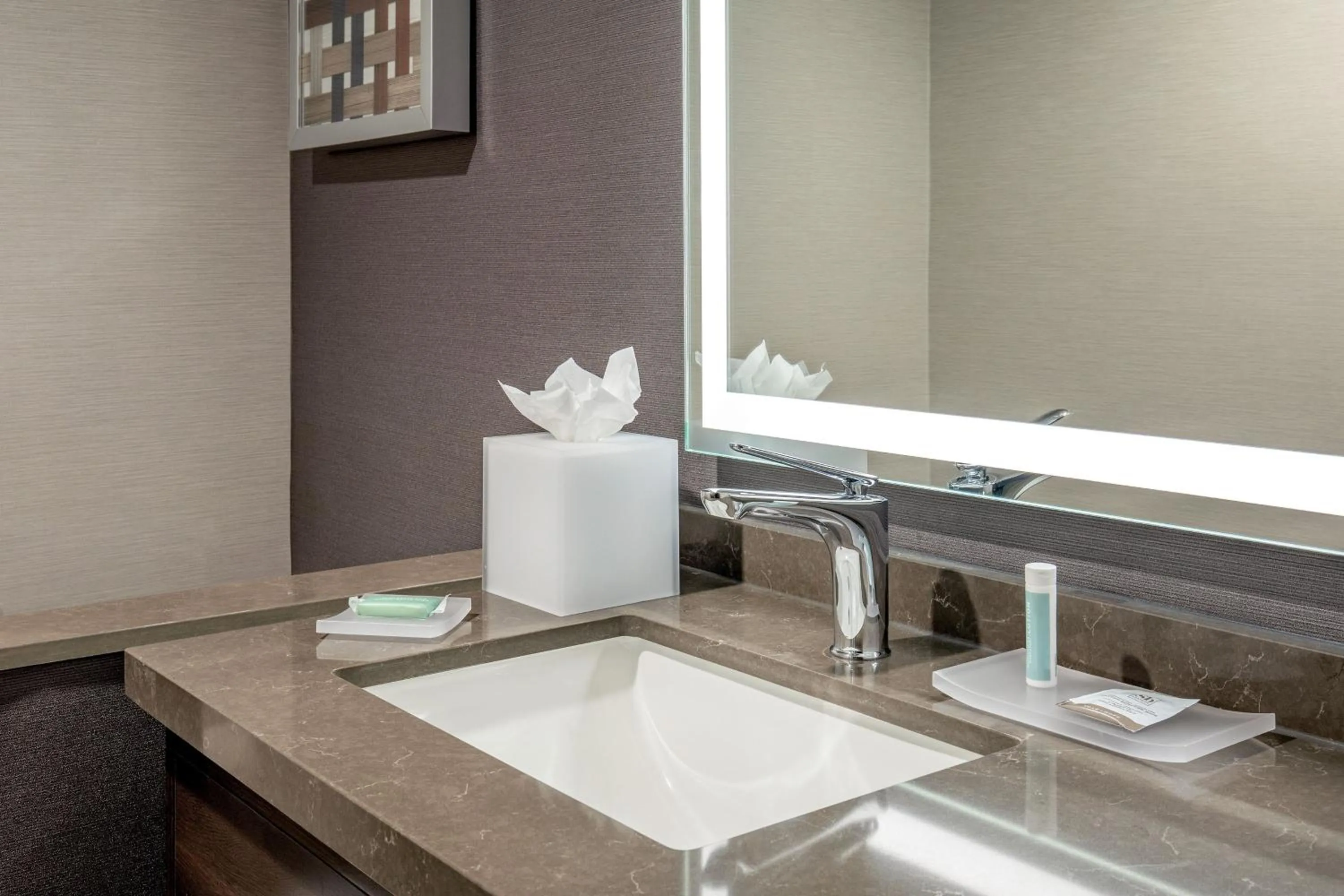 Bathroom in Courtyard Boston Marlborough