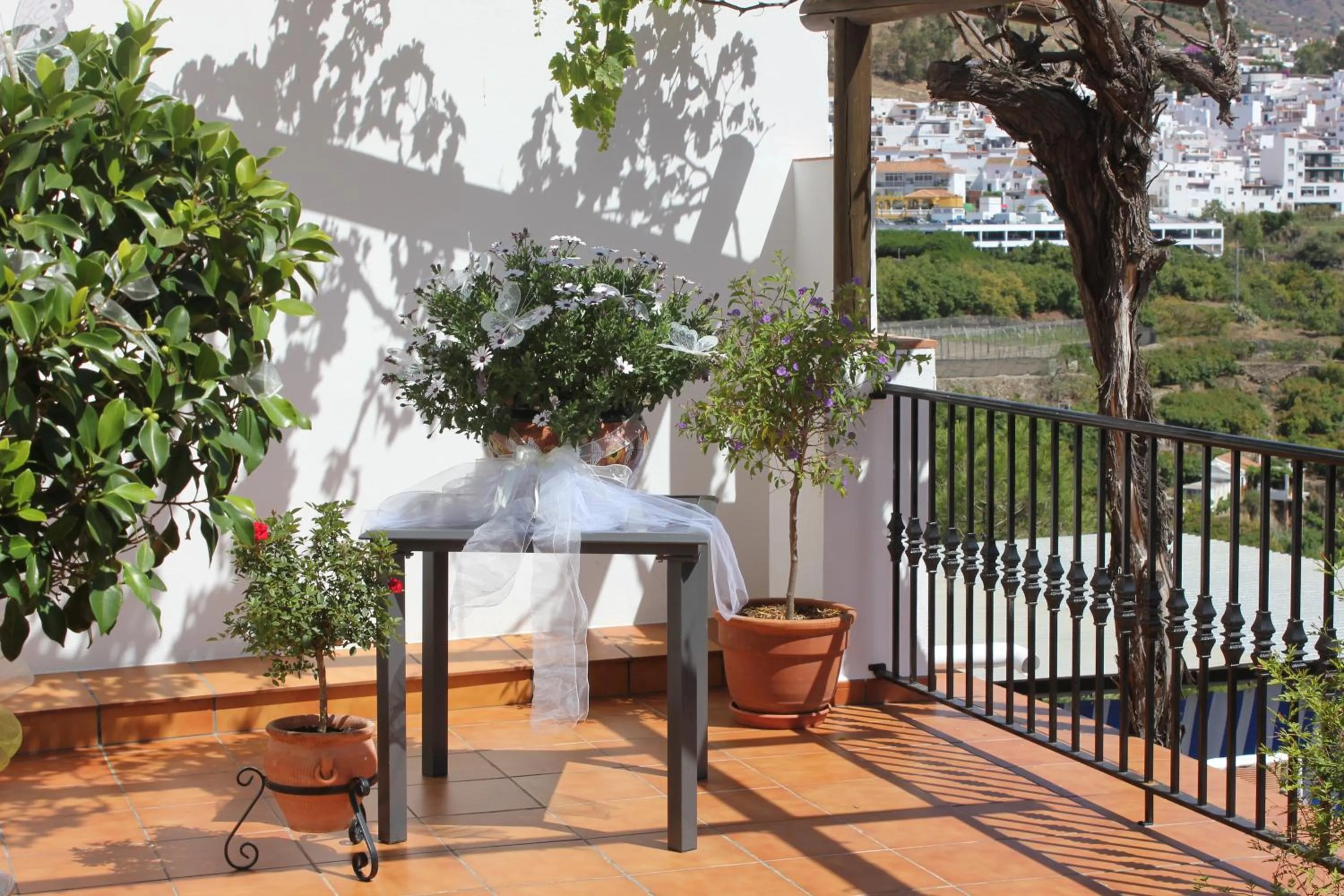 Balcony/Terrace in Hotel La Casa