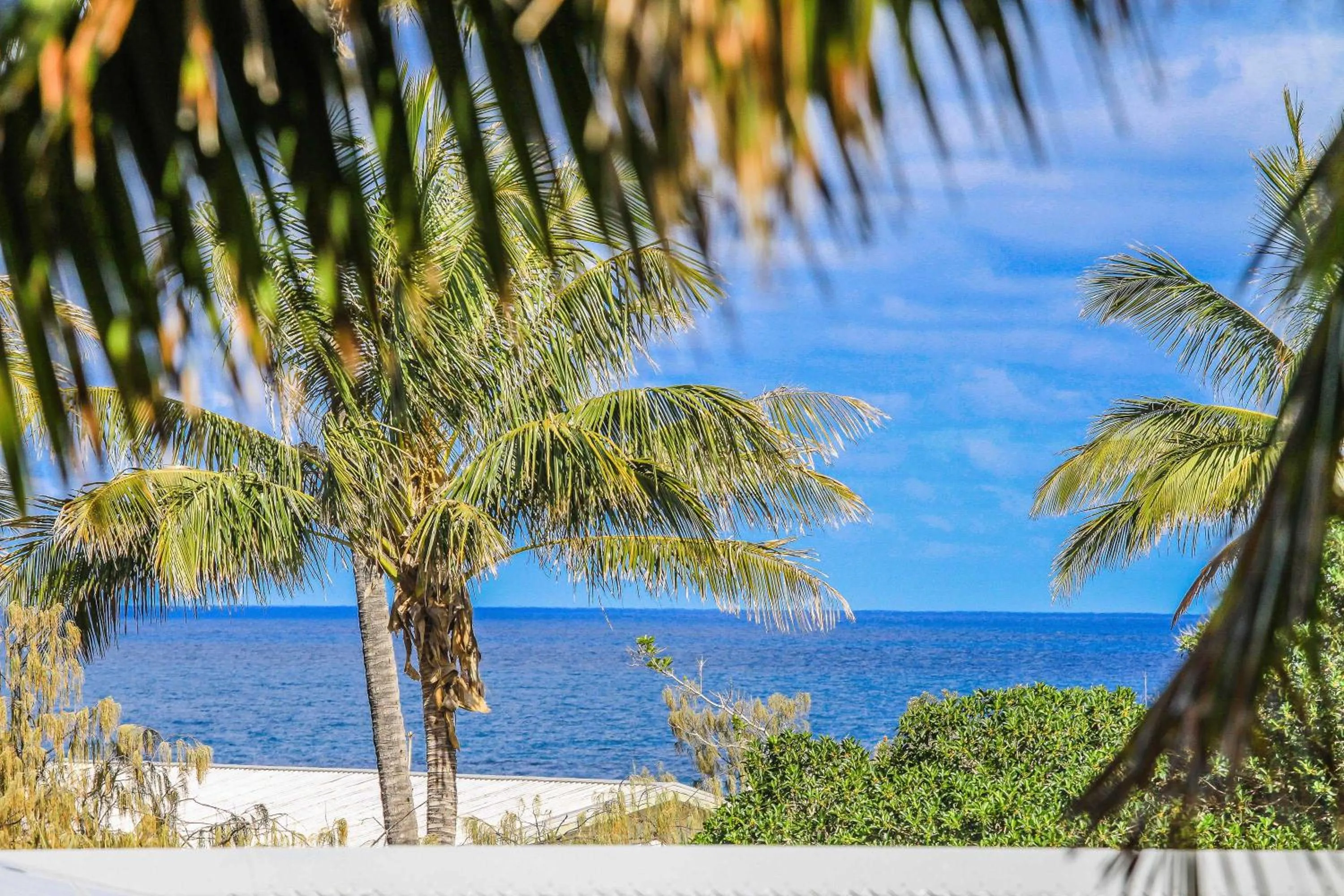 Natural landscape in K'gari Beach Resort