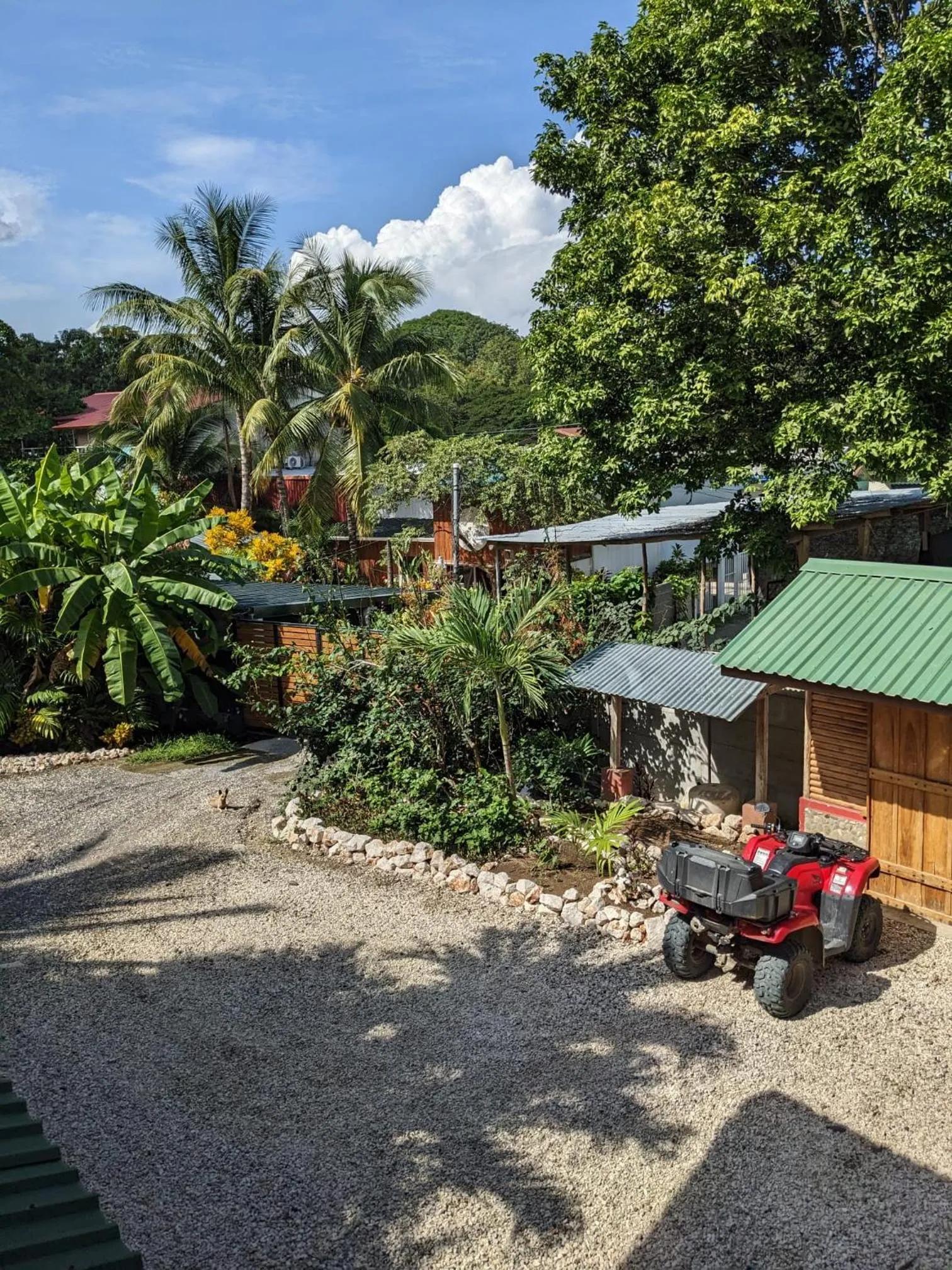 Property building in Casa Calocita