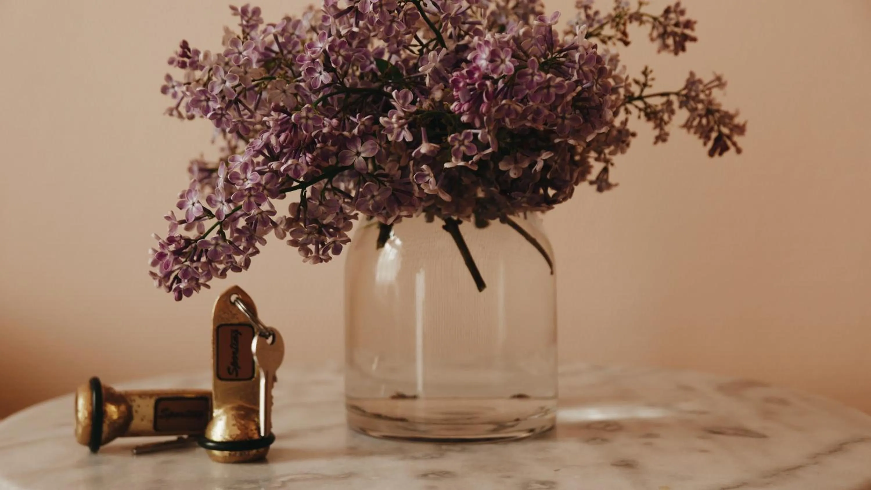 Lobby or reception in Kamienica Sporting