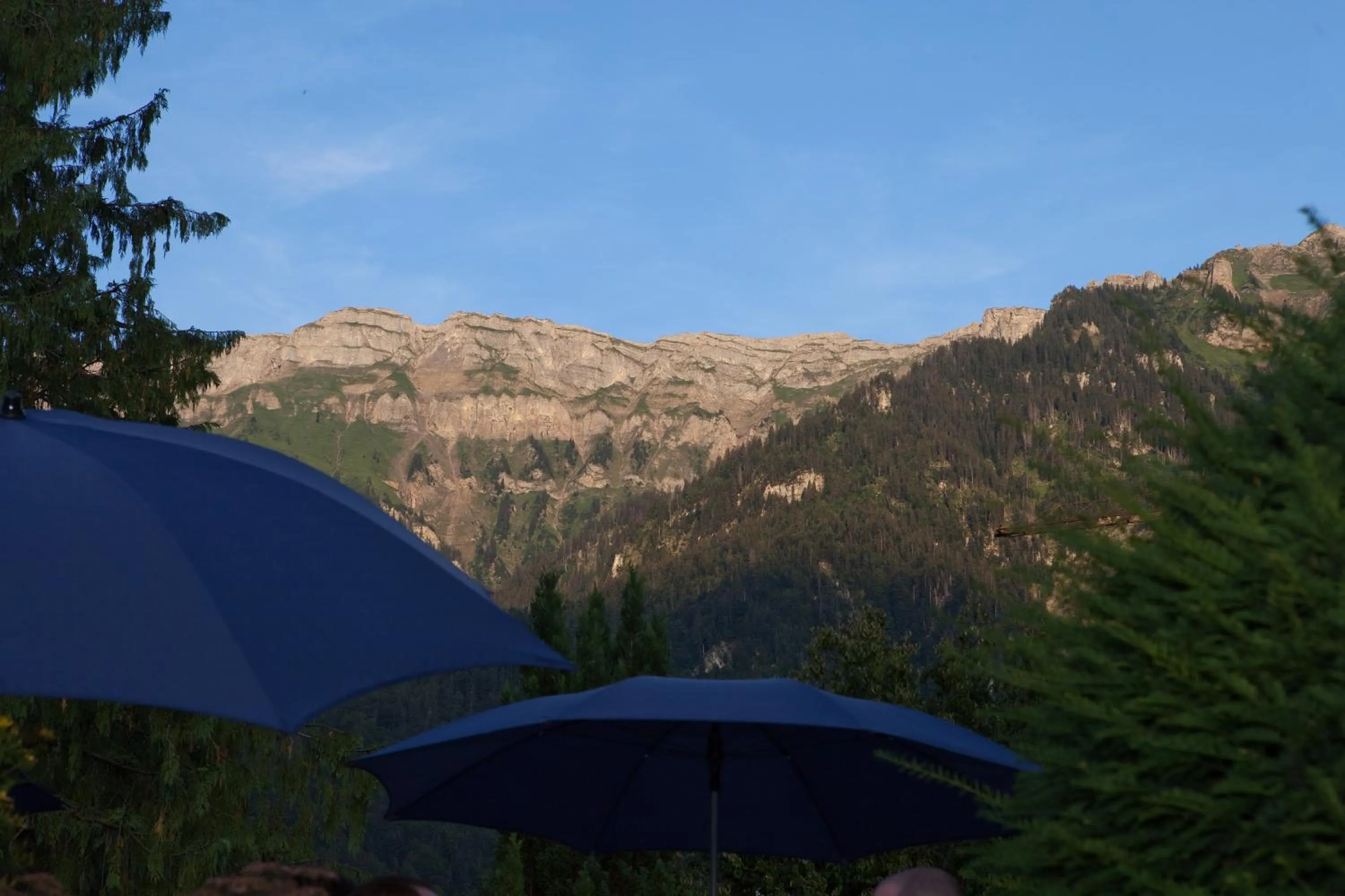 View (from property/room) in Seehotel Bönigen