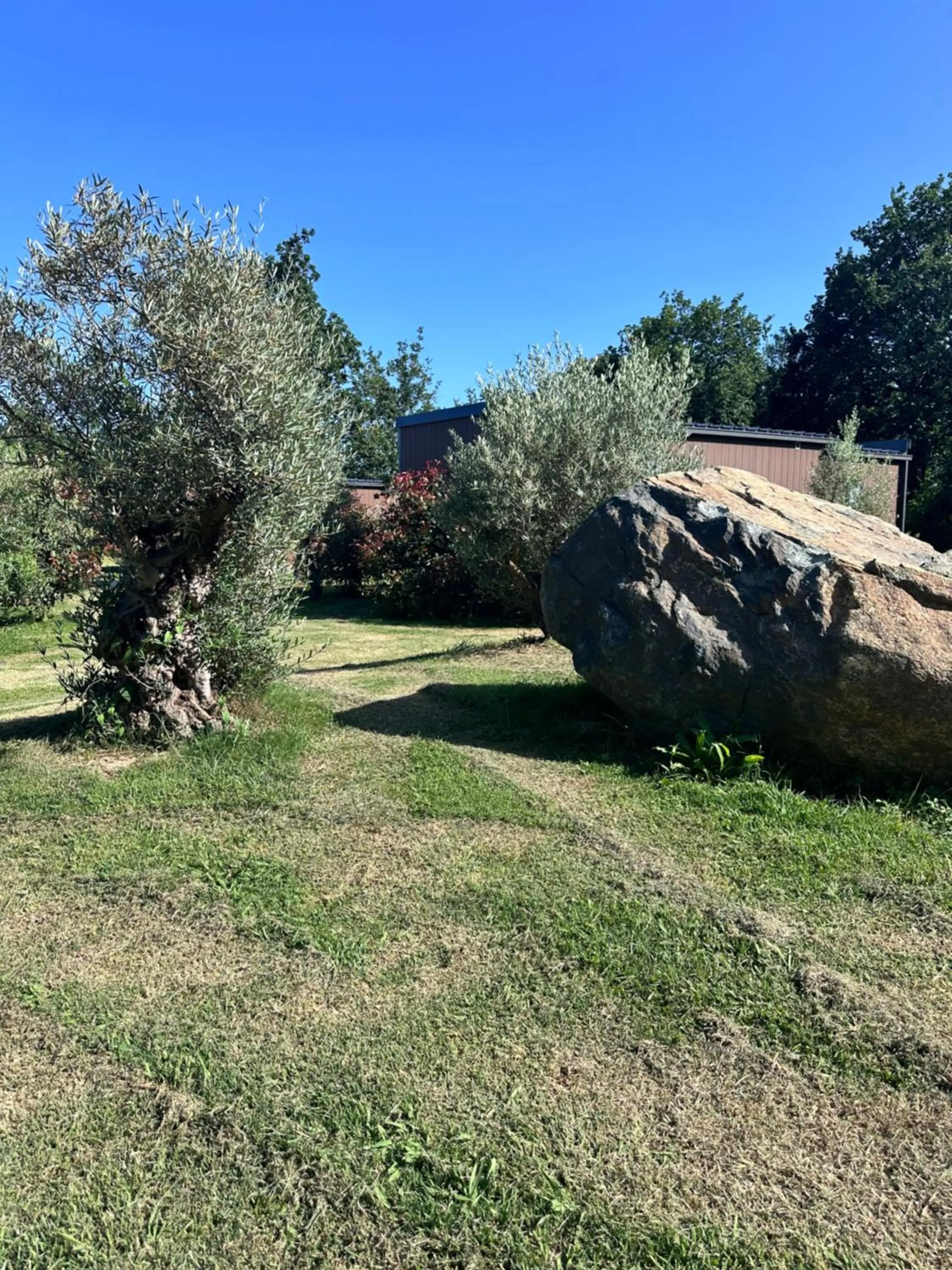 Garden in Village Vacances La Vallicella