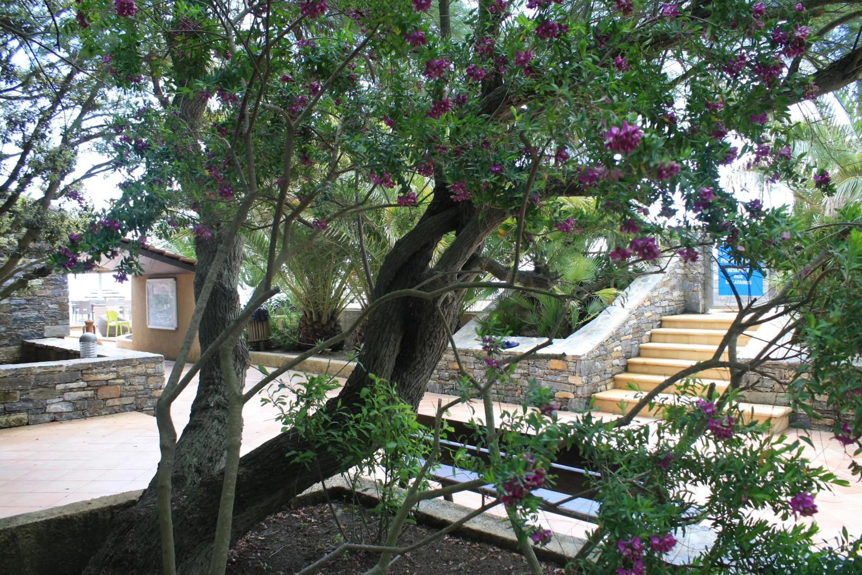 Facade/entrance in Village Vacances La Vallicella