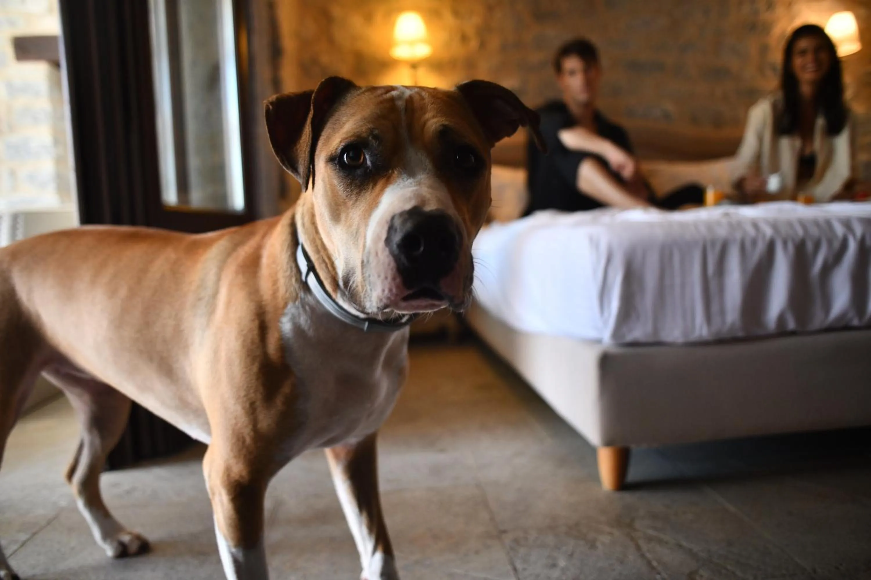 Petra & Fos Boutique Hotel & Spa