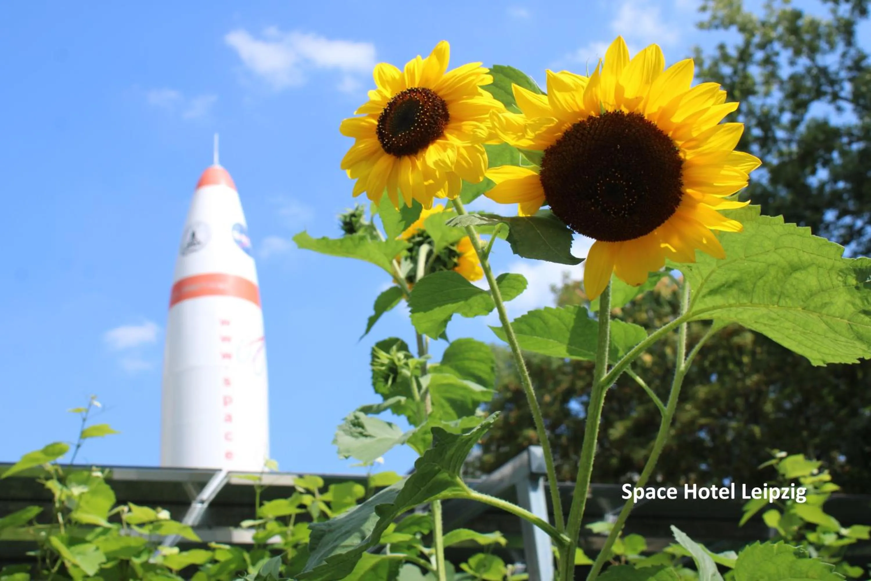 Garden in Space Hotel im Campus der JvP Schule