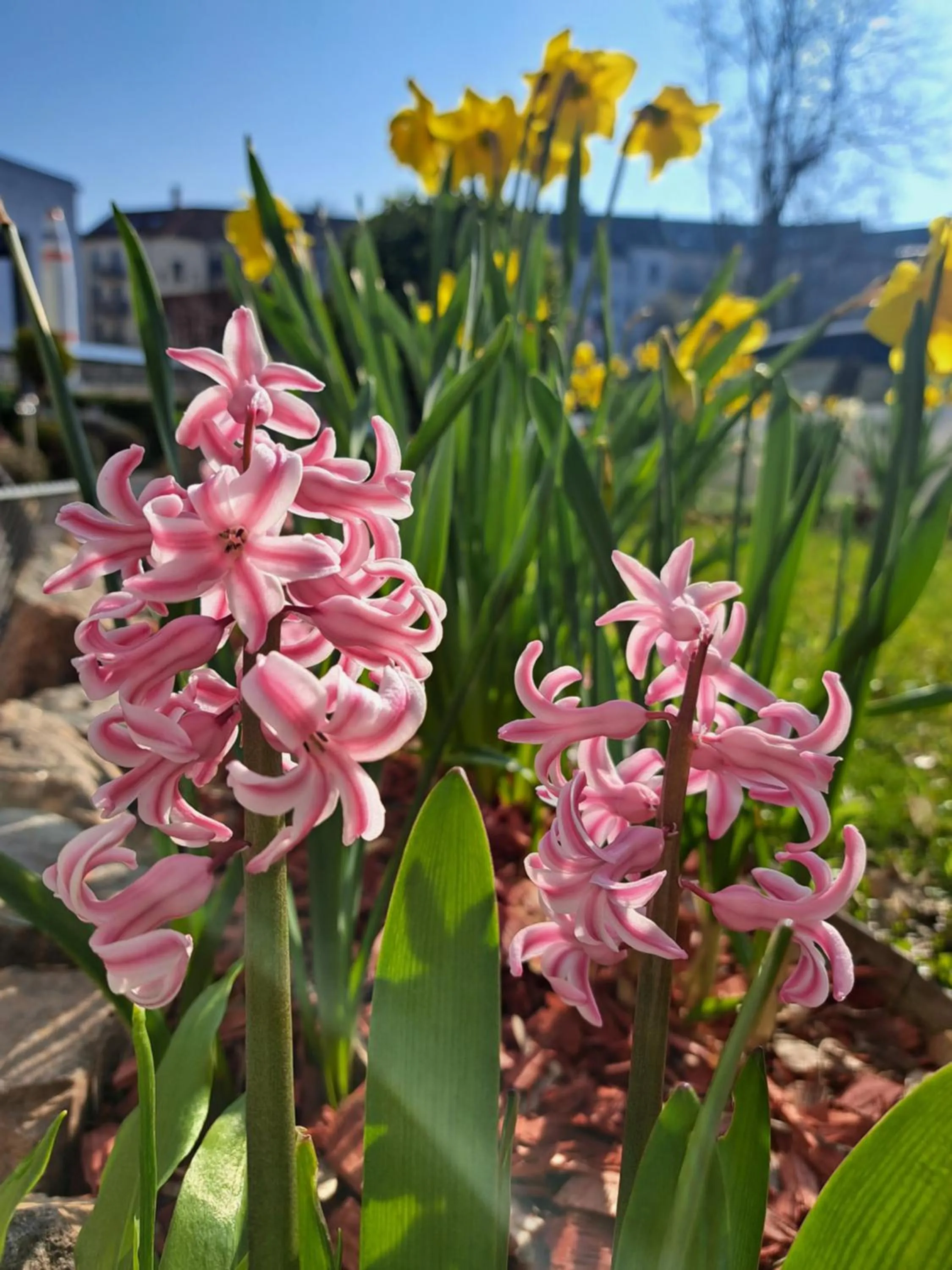 Garden in Space Hotel im Campus der JvP Schule