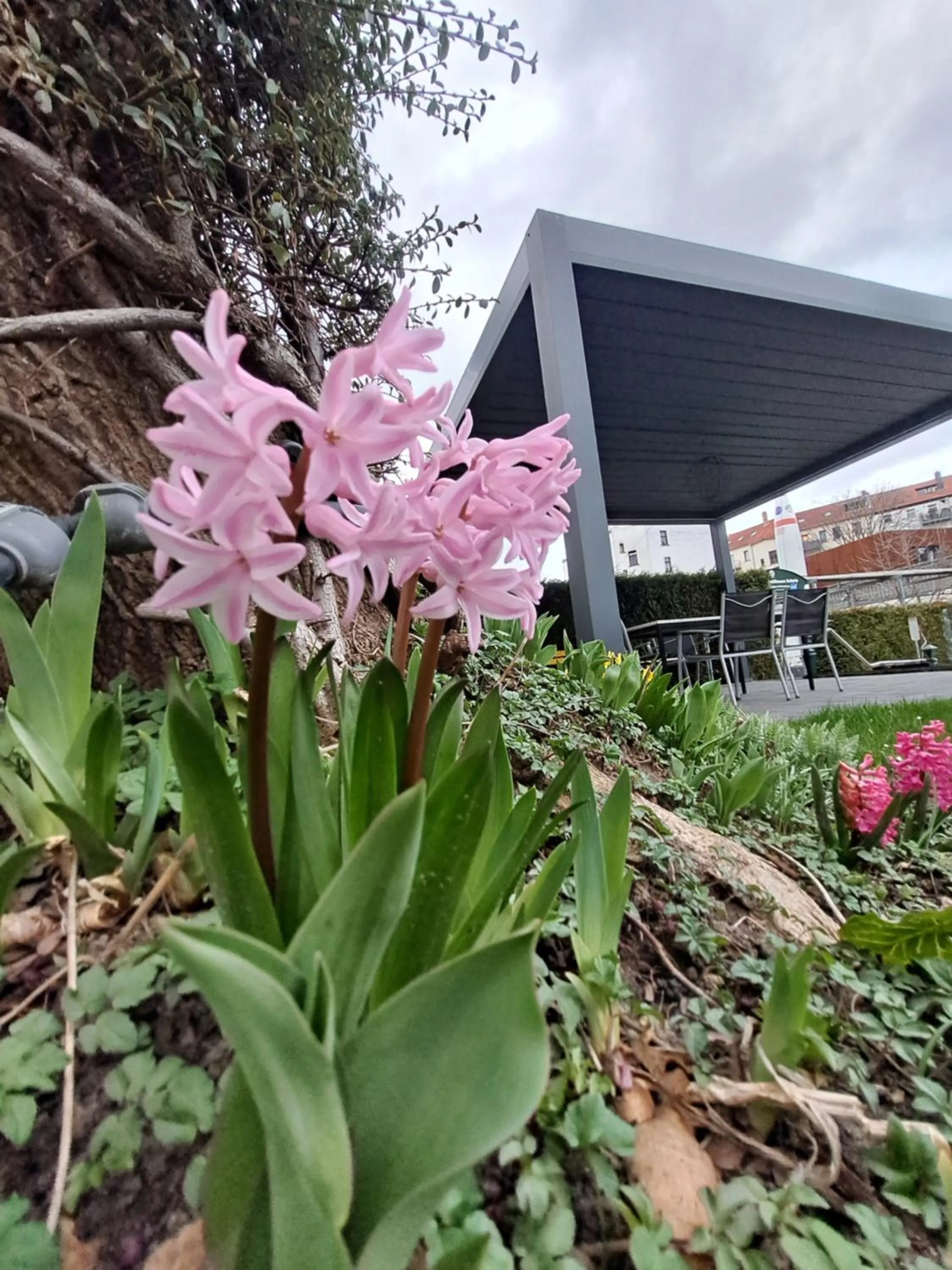 Garden in Space Hotel im Campus der JvP Schule