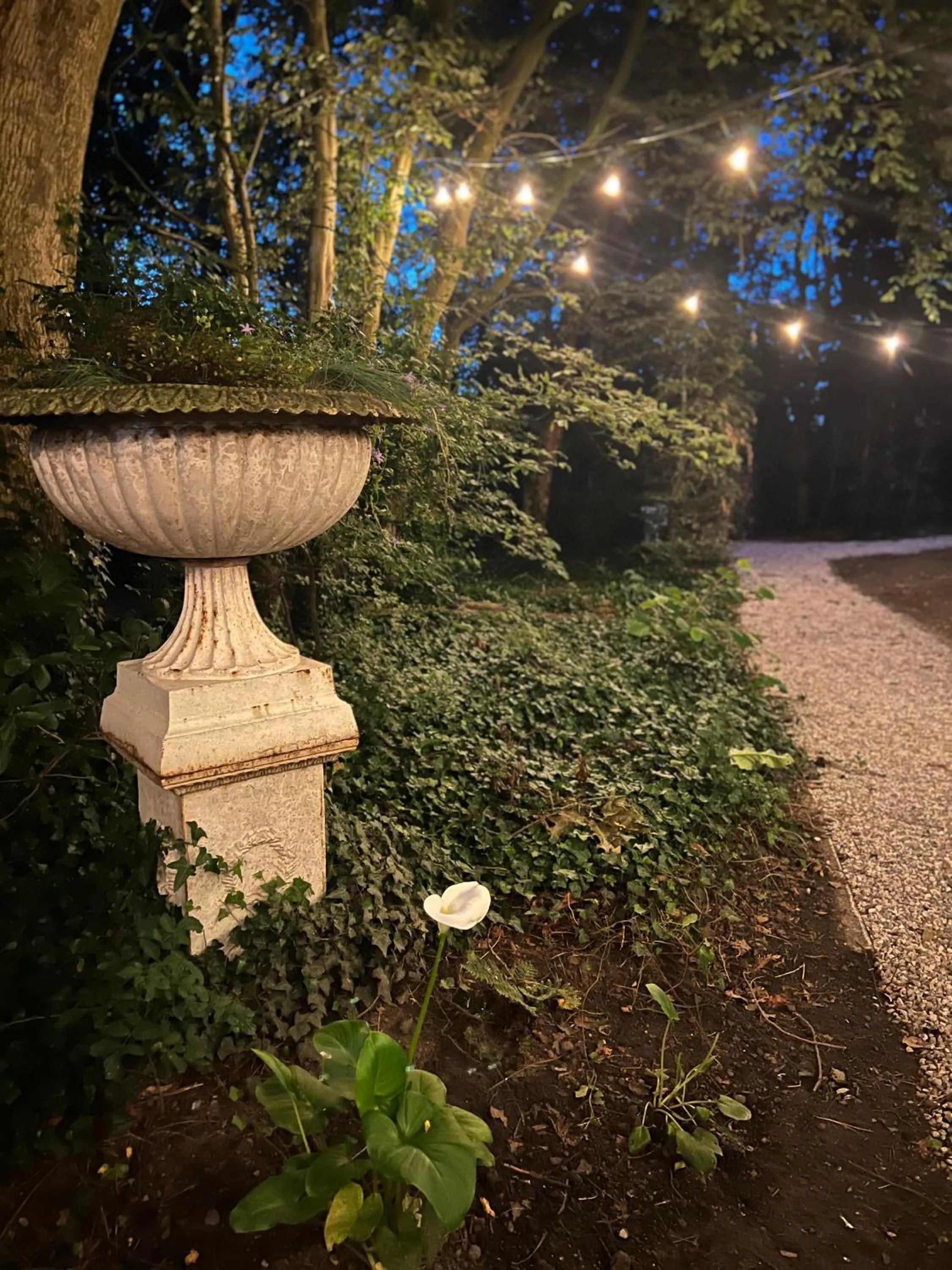 Garden in Hotel Fleur de Lys