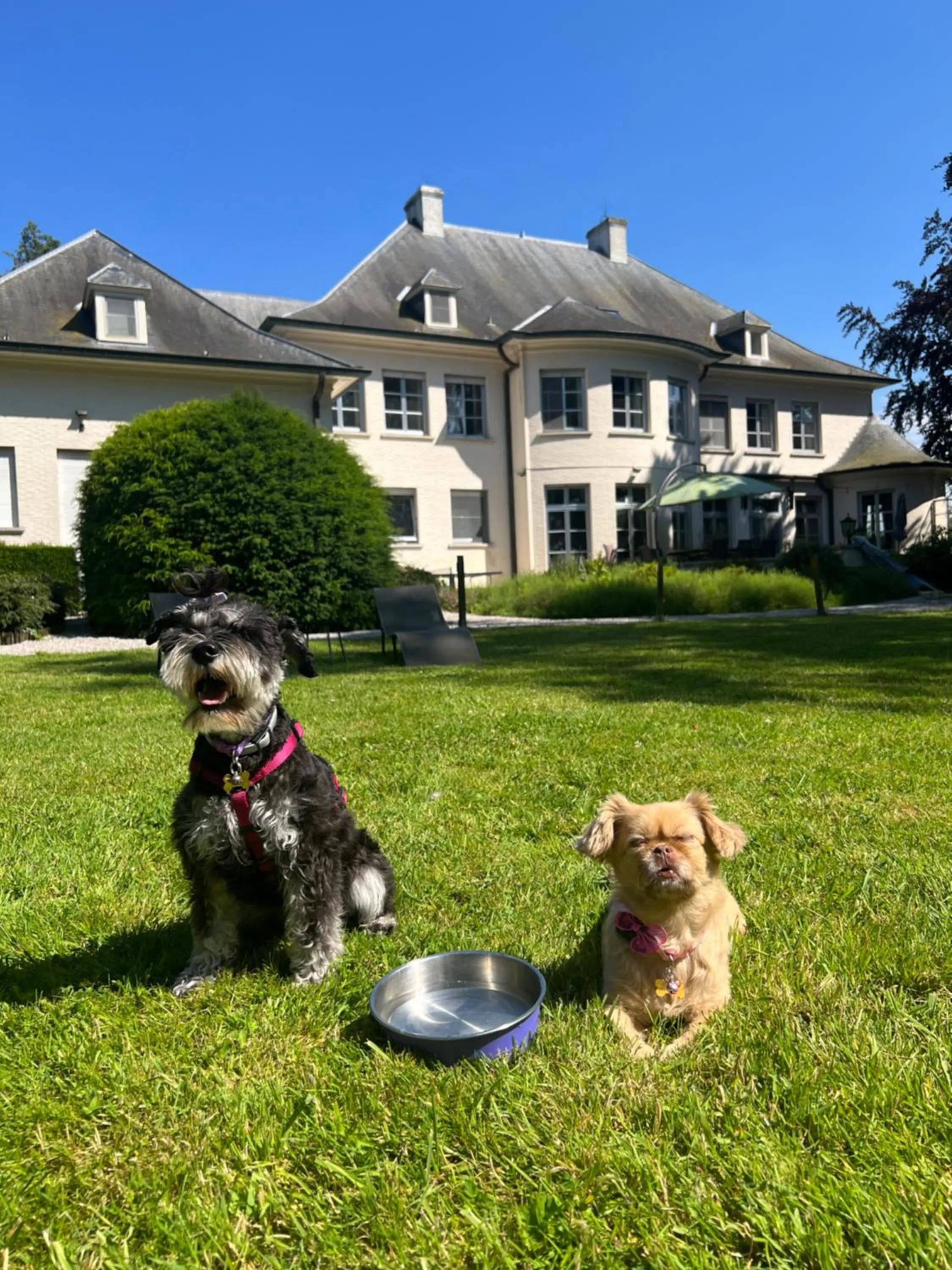 Day in Hotel Fleur de Lys