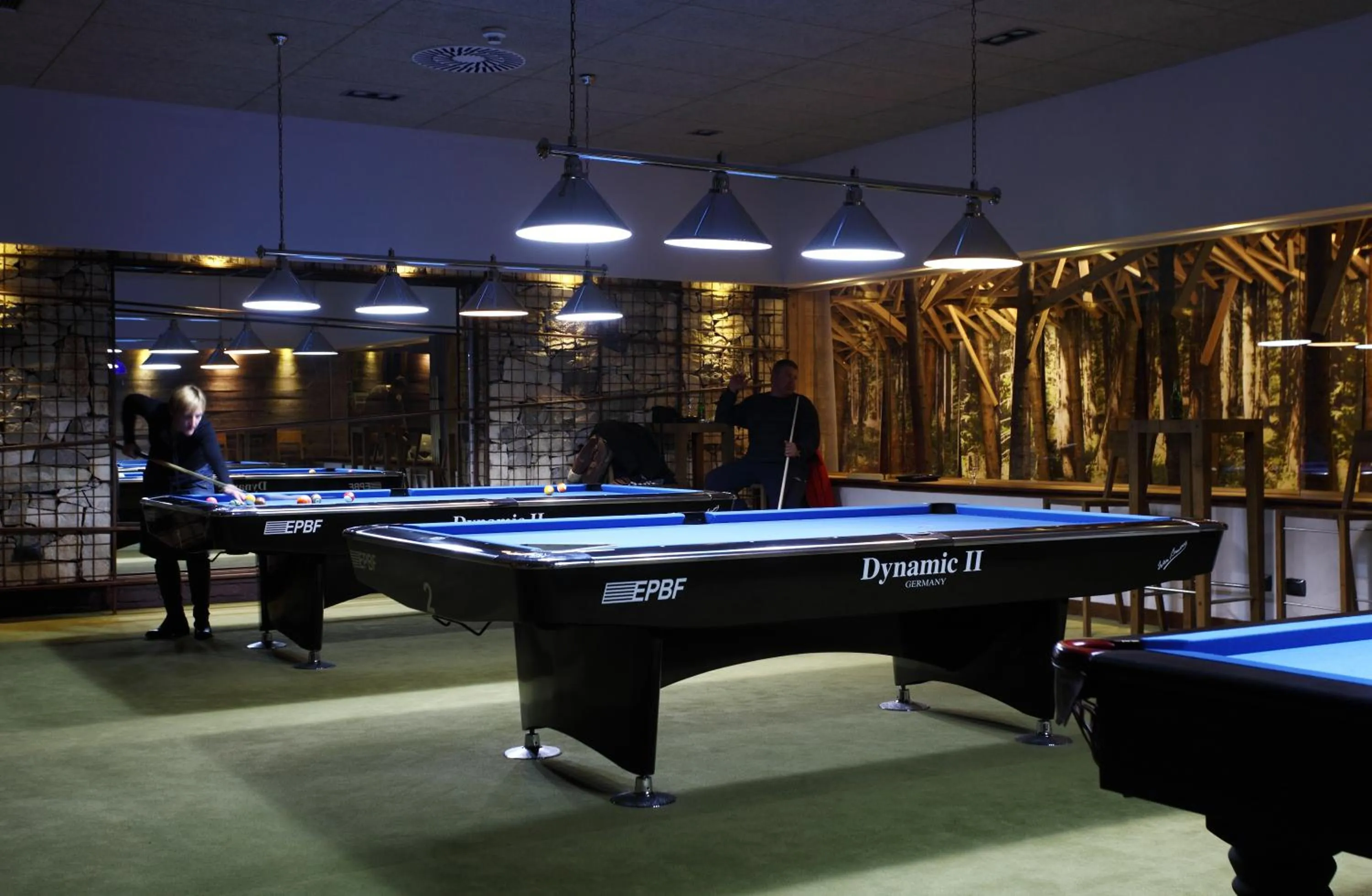 Billiard in Termag Hotel Jahorina