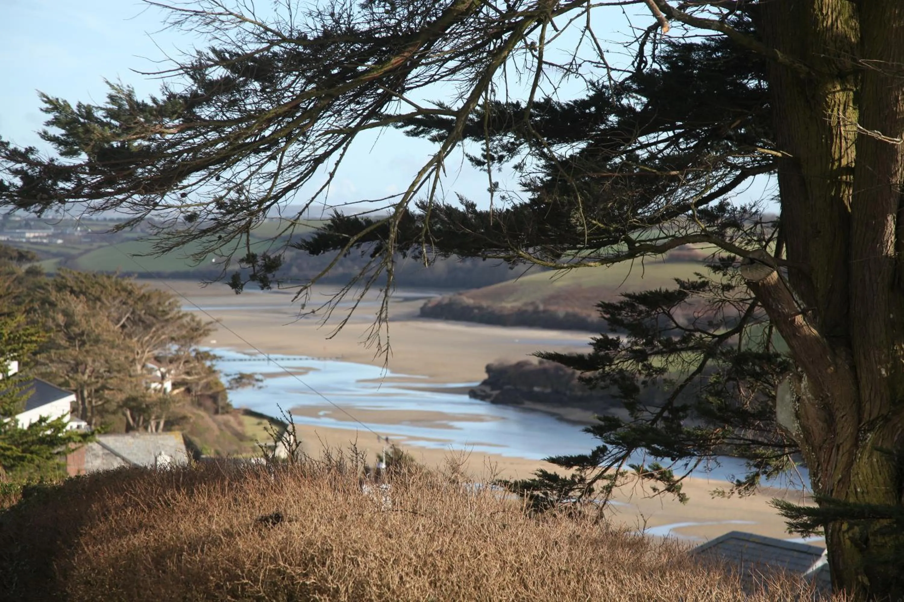 Natural landscape in Il Giardino