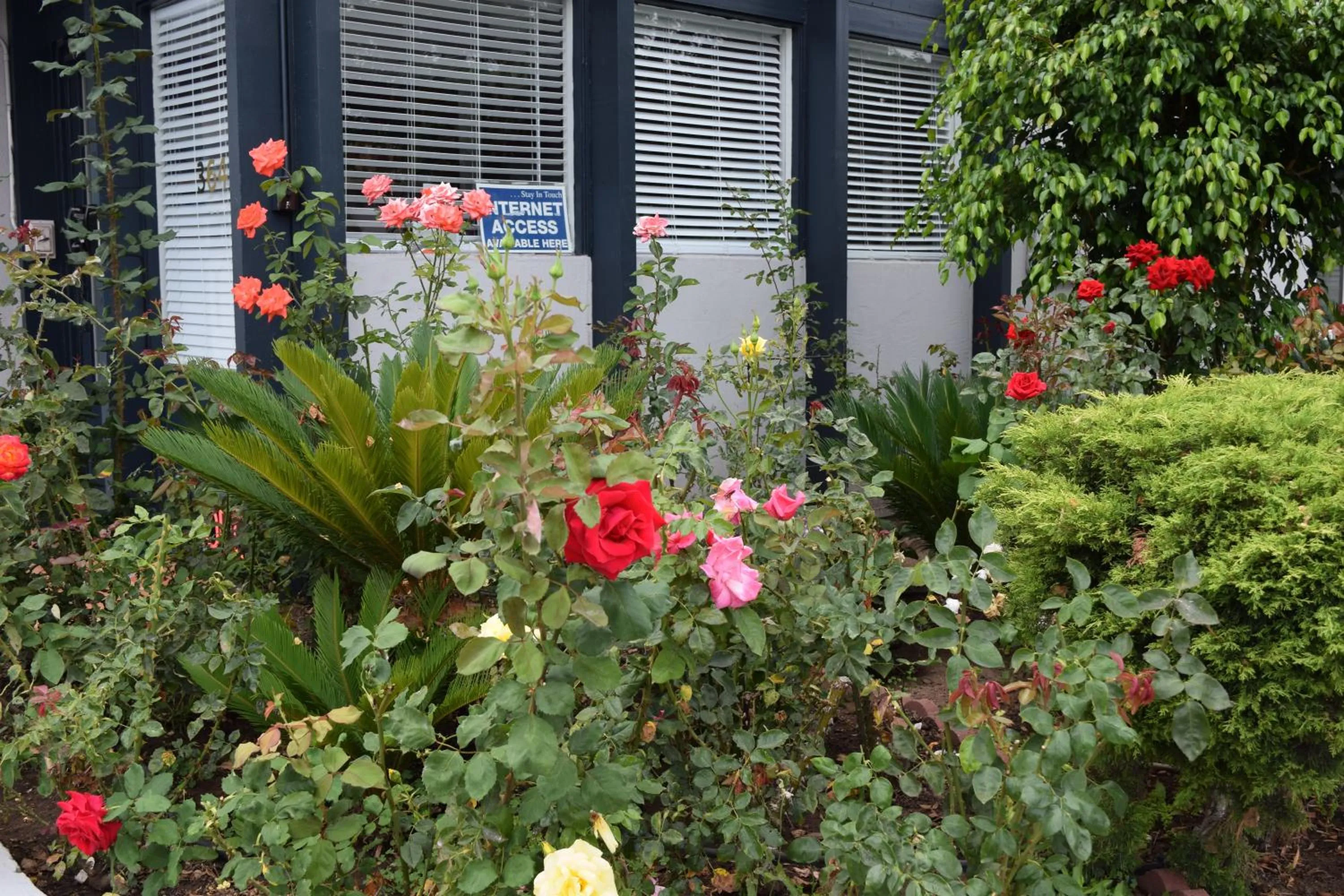 Day in Rose Garden Inn