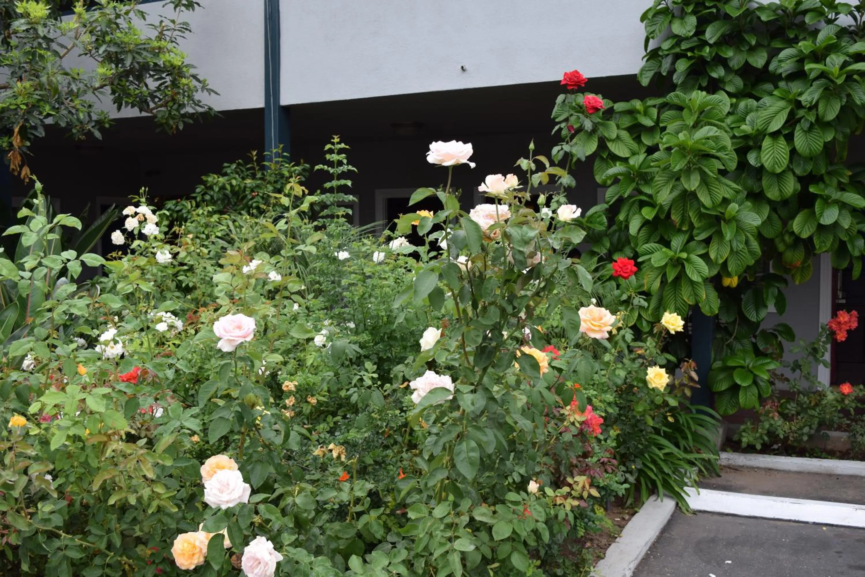 Decorative detail in Rose Garden Inn