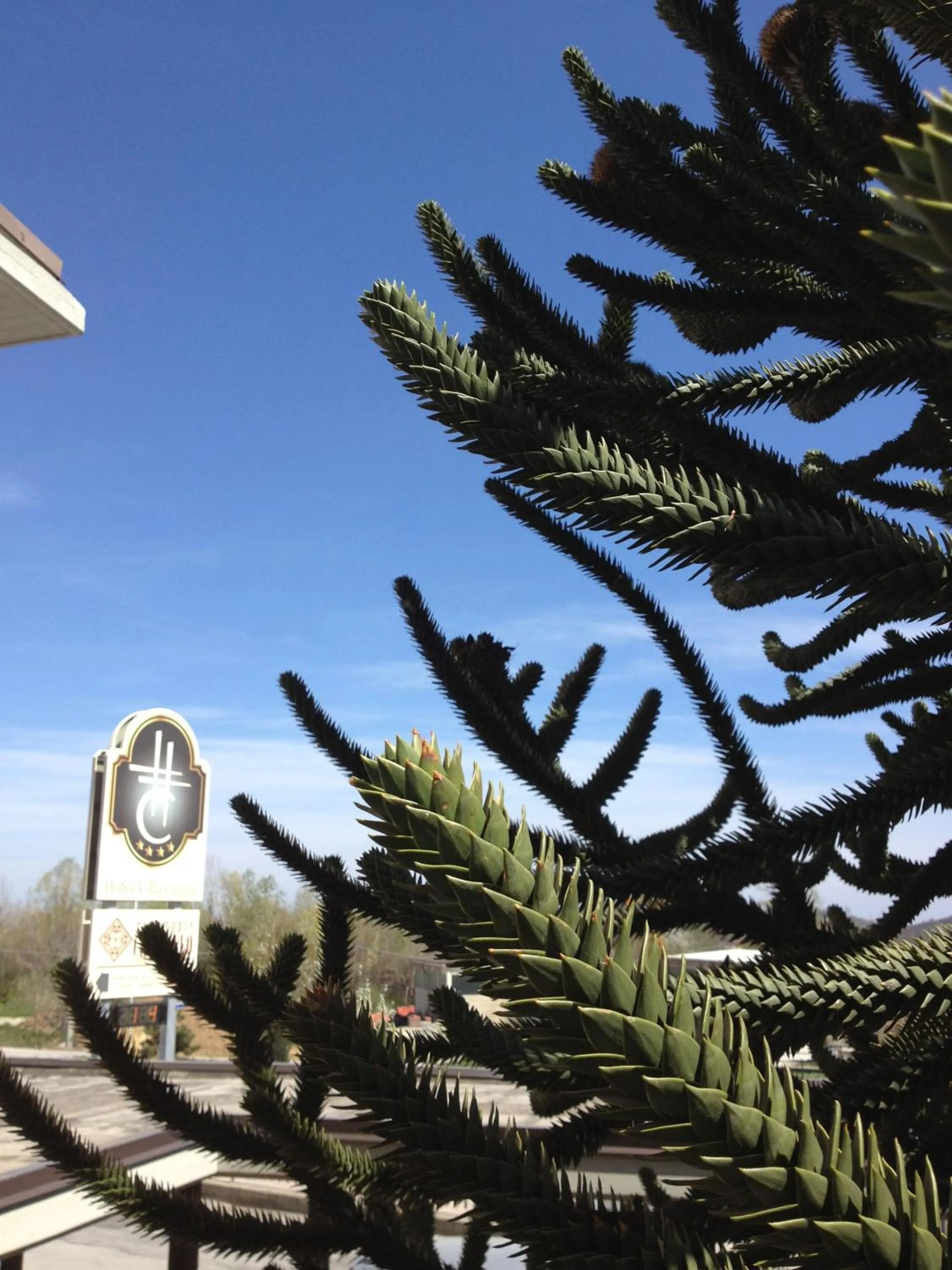 Property logo or sign in Hotel Villa Cinzia