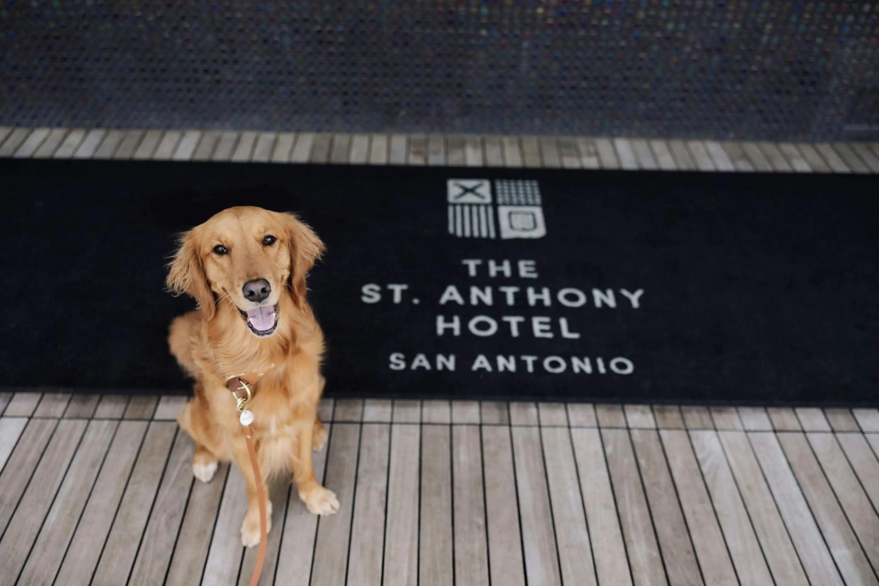 Other in The St. Anthony, a Luxury Collection Hotel, San Antonio