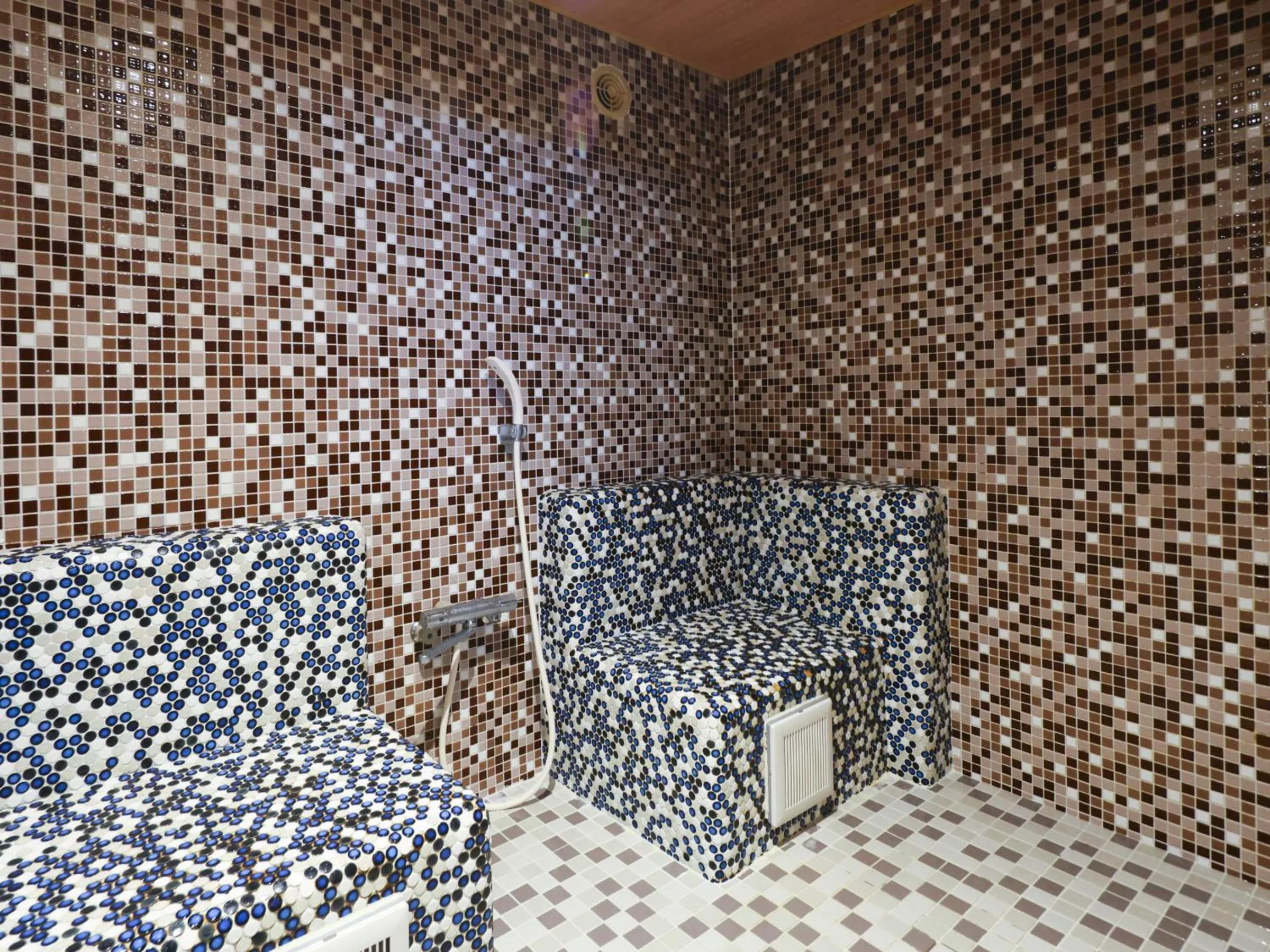 Public Bath in Tennen Onsen Taho-no-Yu Dormy Inn Niigata