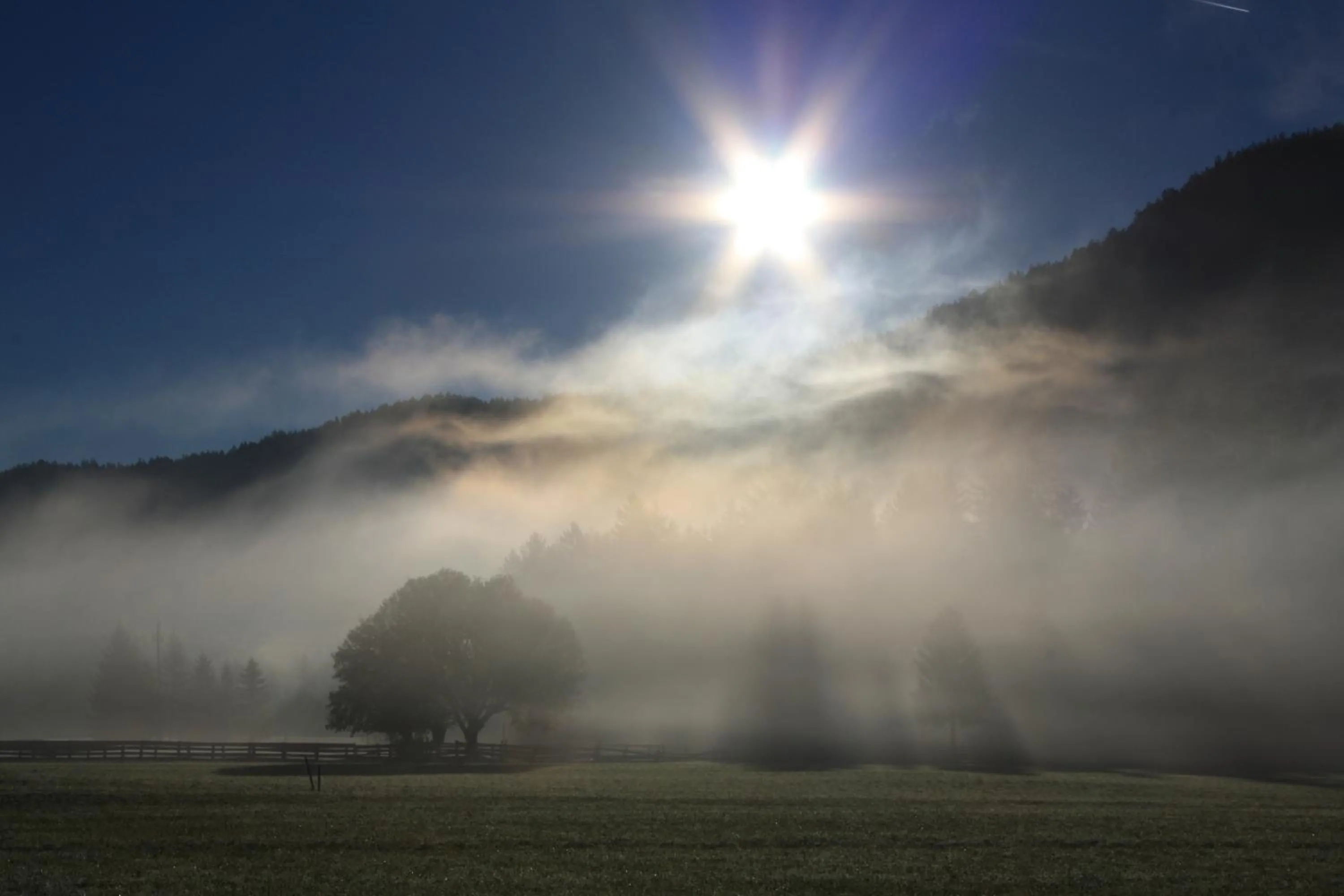 Neighbourhood in Landhotel Wolf