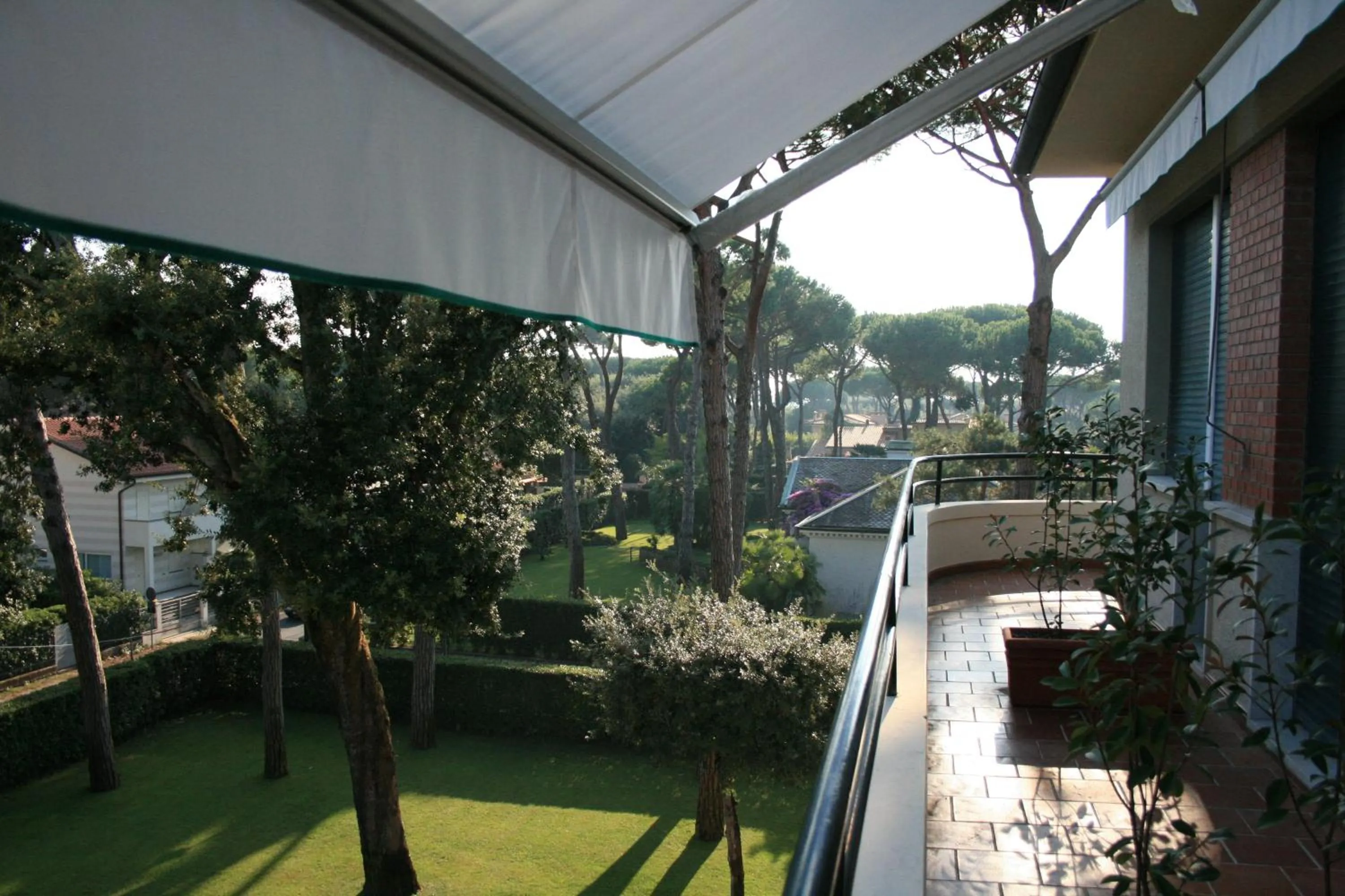 Balcony/Terrace in Hotel Villa Edera